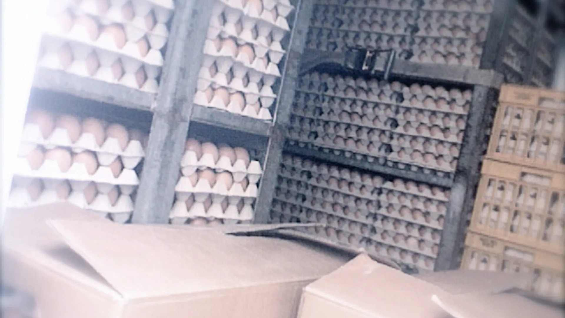 472286236_657d7c10a0_o