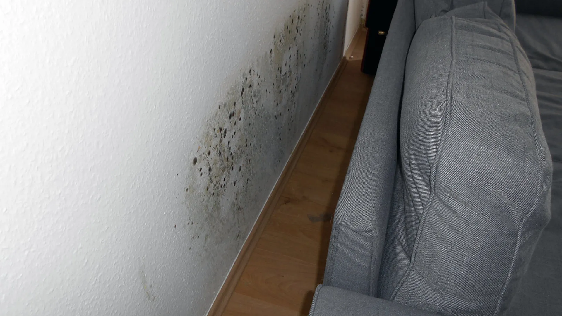 Schimmel-hinter-Sofa