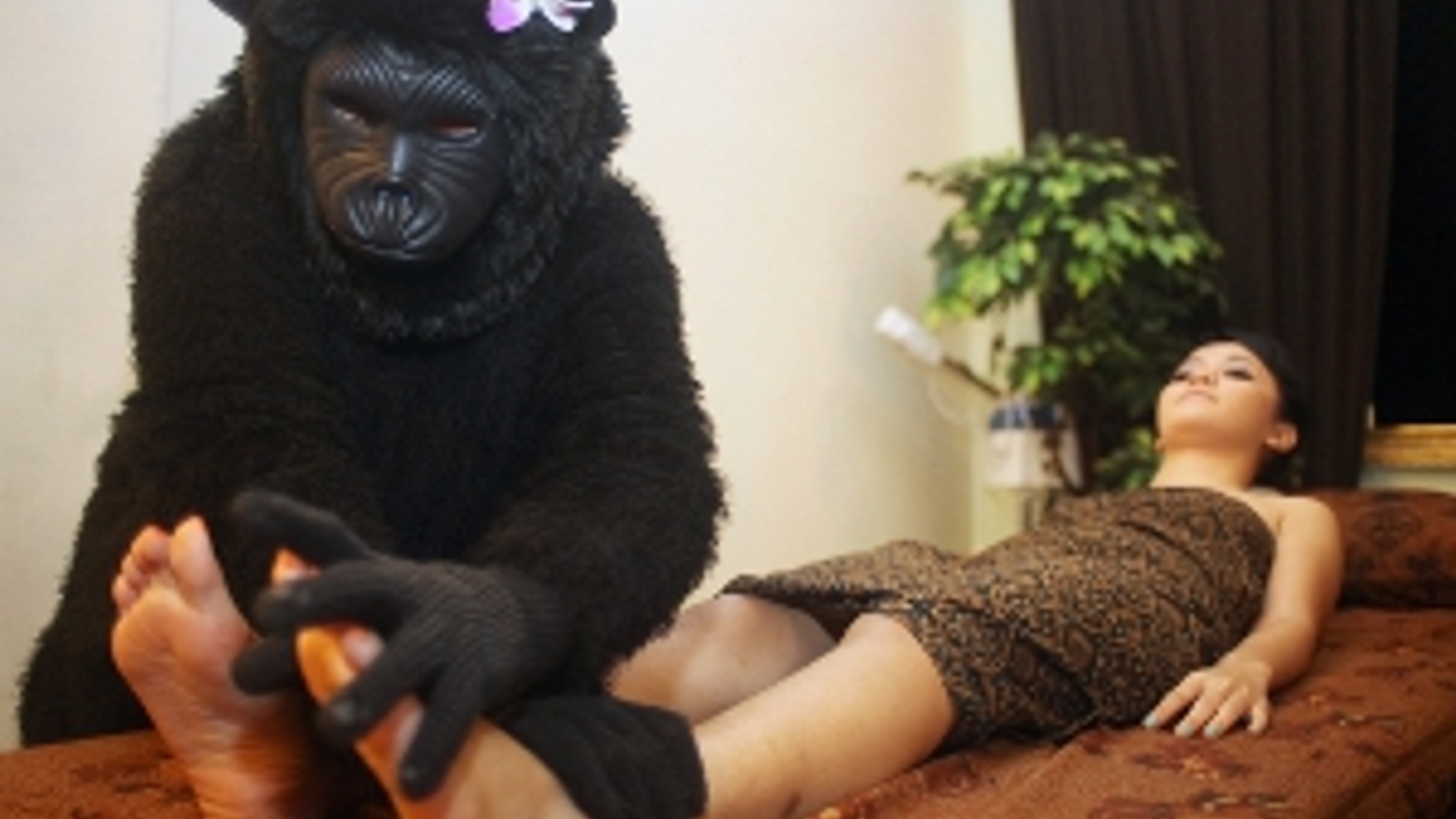ANP-Gorilla_massage300.jpg
