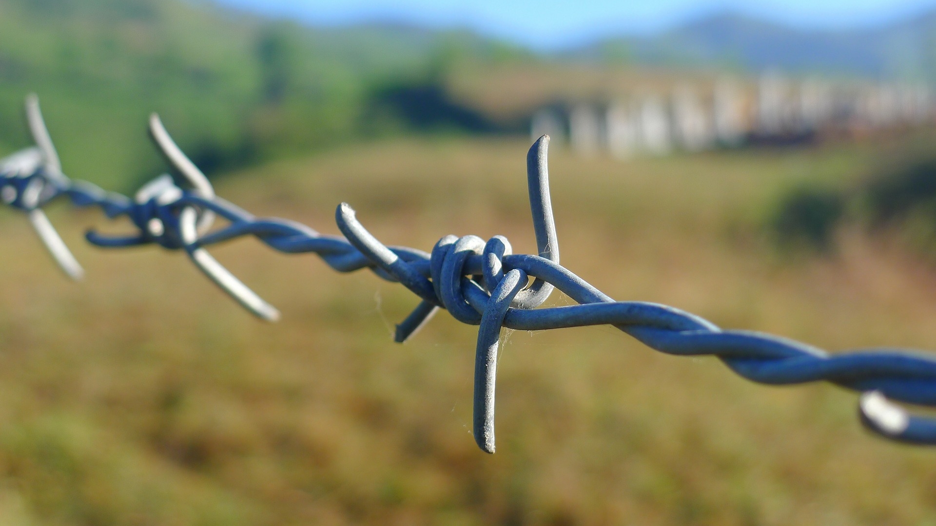 barbed-wire-114500_1920