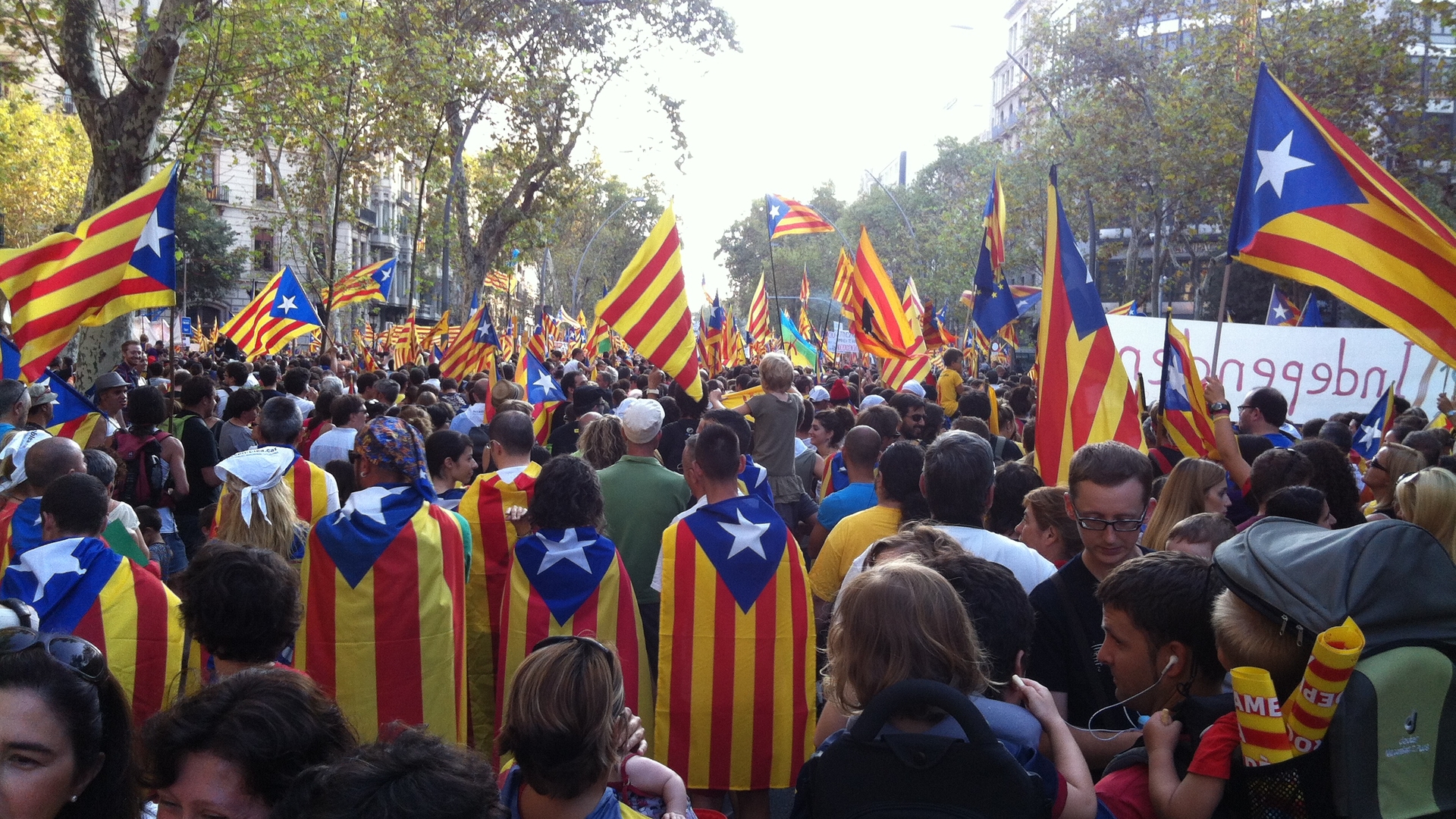 2012_Catalan_independence_protest_(75)