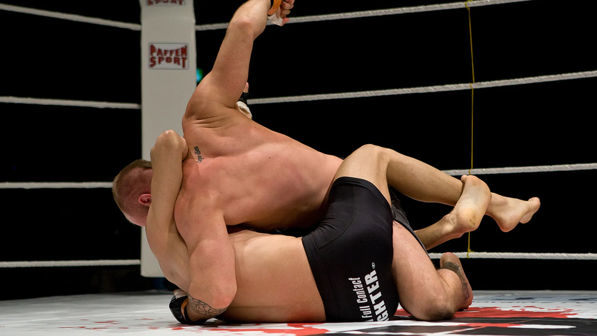 Flickr_Freefight_RichSerra_.jpg