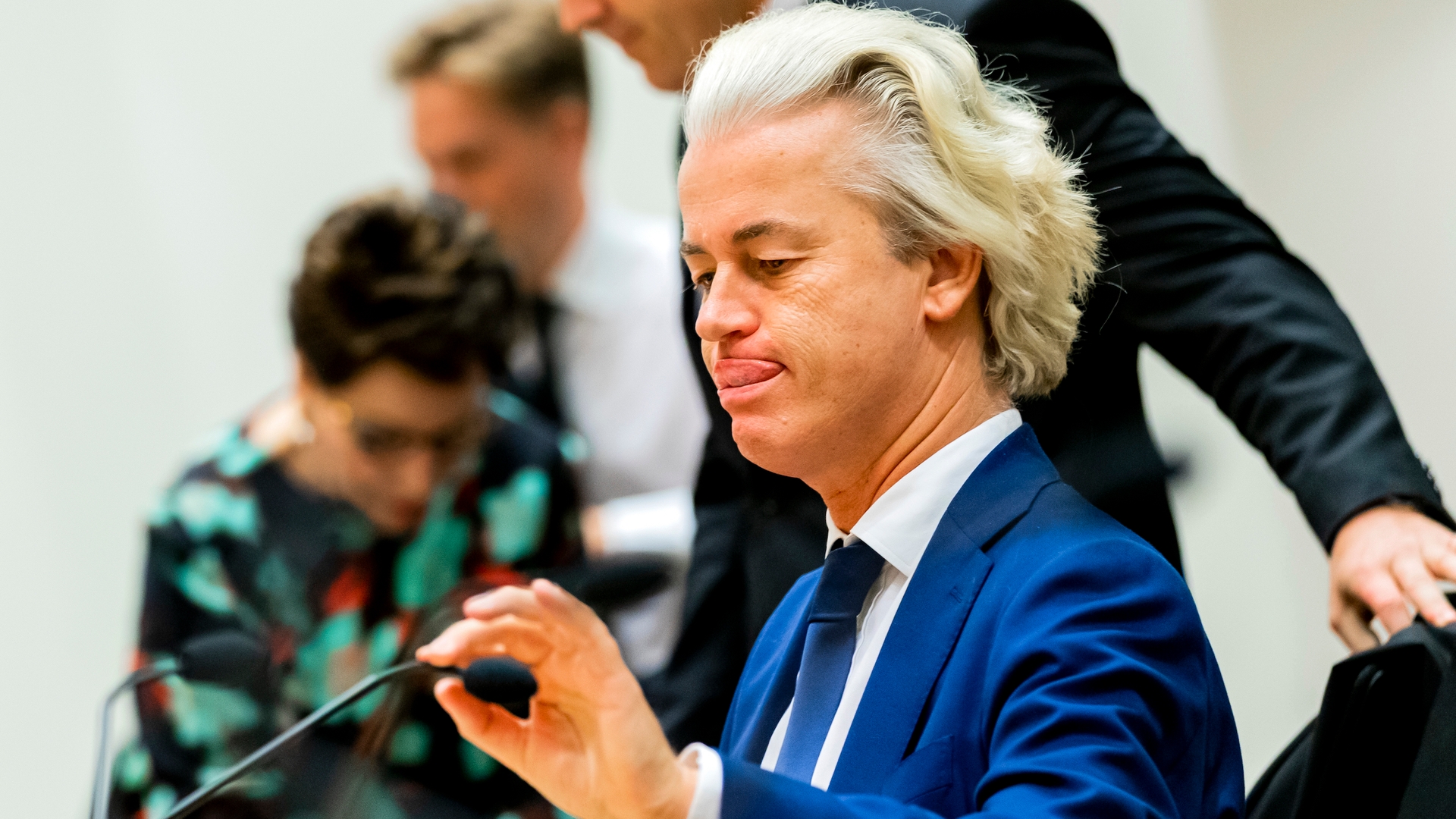 Pleidooi in proces-Wilders
