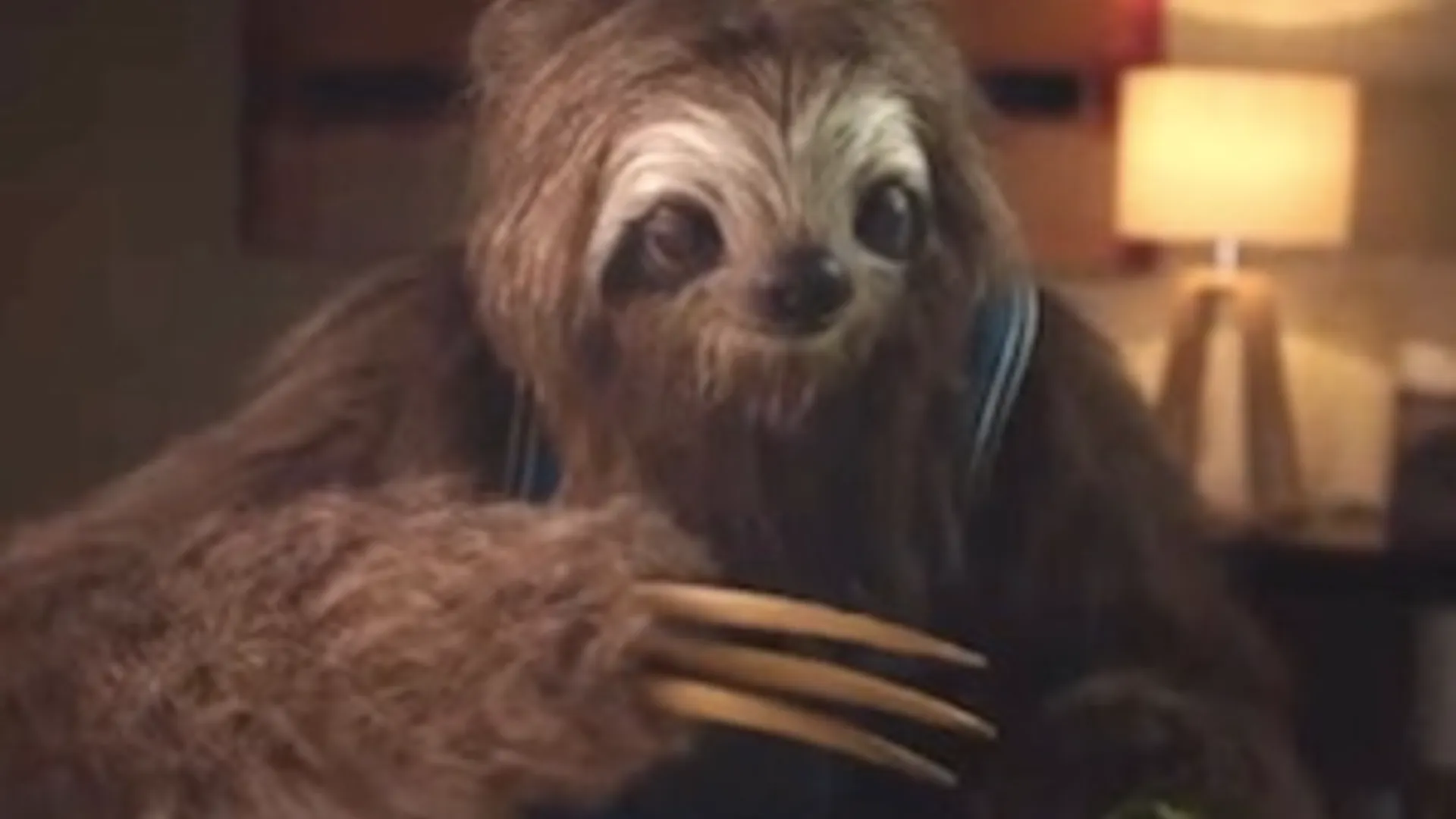 StonerSloth_300.jpg