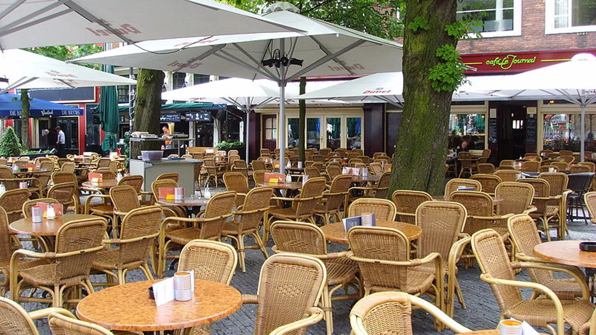 800px-Terras_Neude