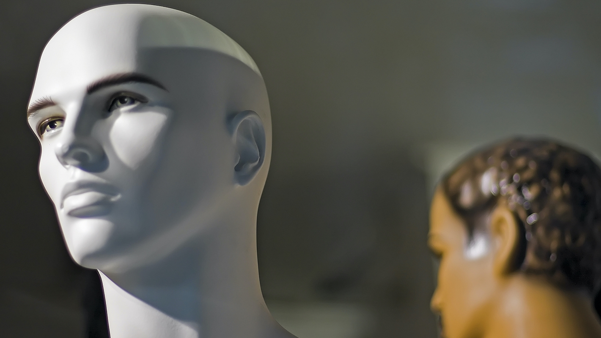 White male mannequin head in storefront window