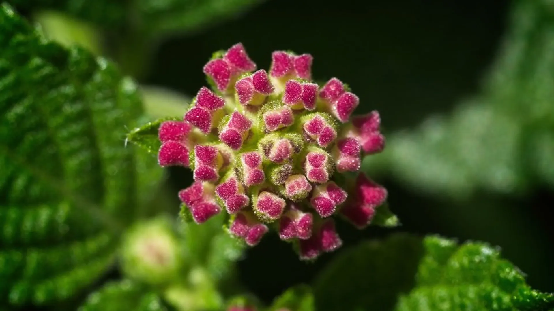 50349880101_2049d0e796_c