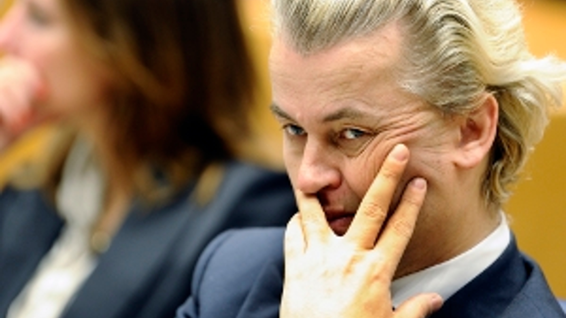 Wilders300_03.jpg