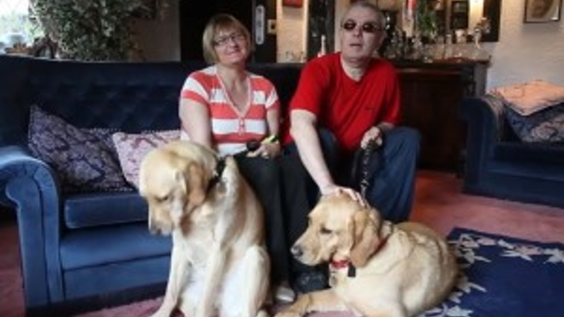 Blind_couple_find_love_after_their_dogs_fall_for_each_other_at_a_guide_dog_training_course_-_YouTube.jpg