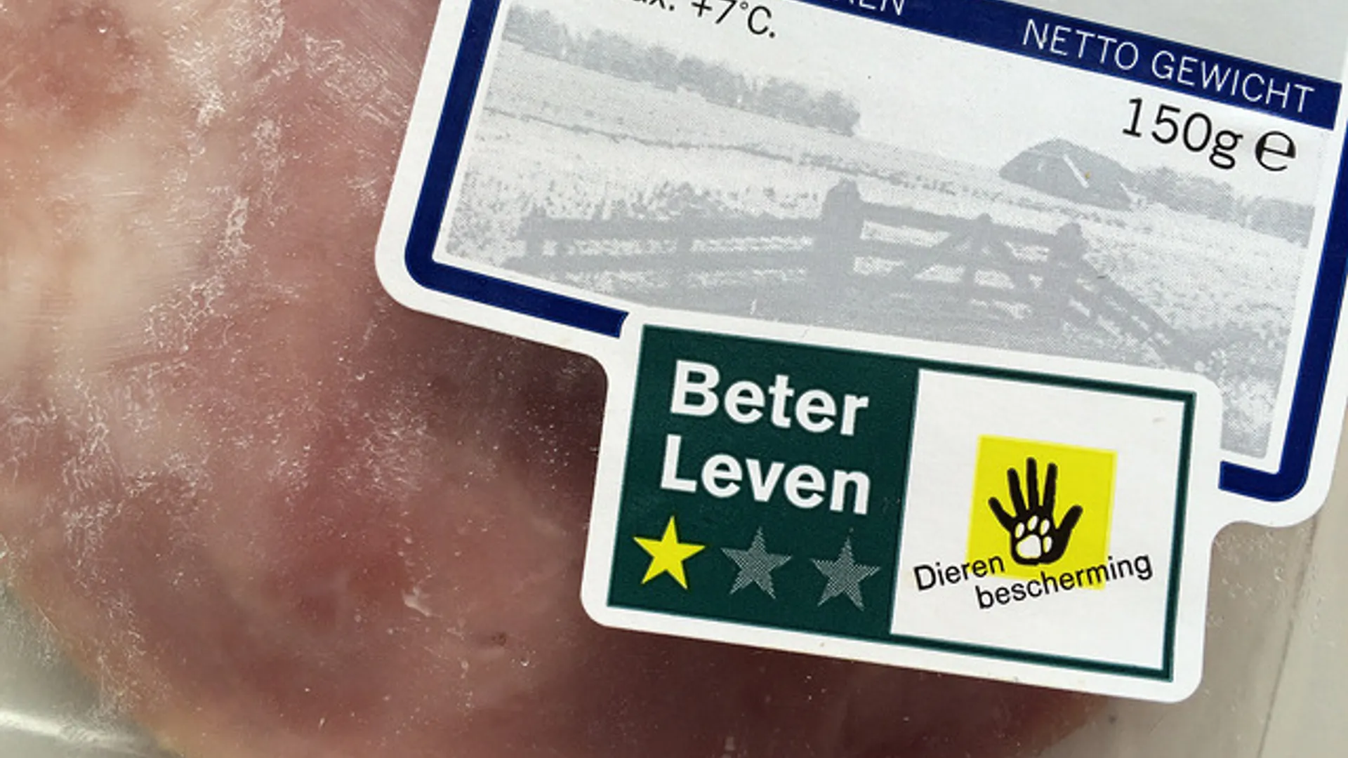 22161694786_4388ac5a3f_z