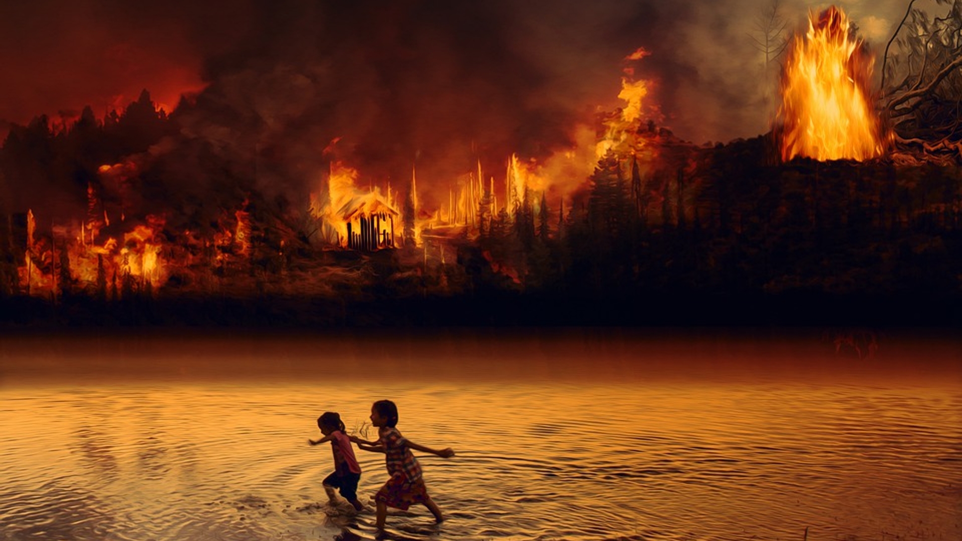 Forest Fire Fear Fire Children Amazon Flame