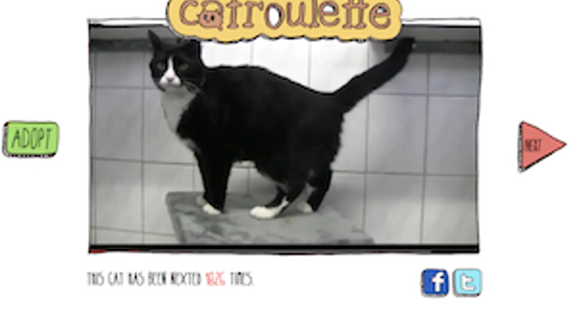 catroulette.jpg