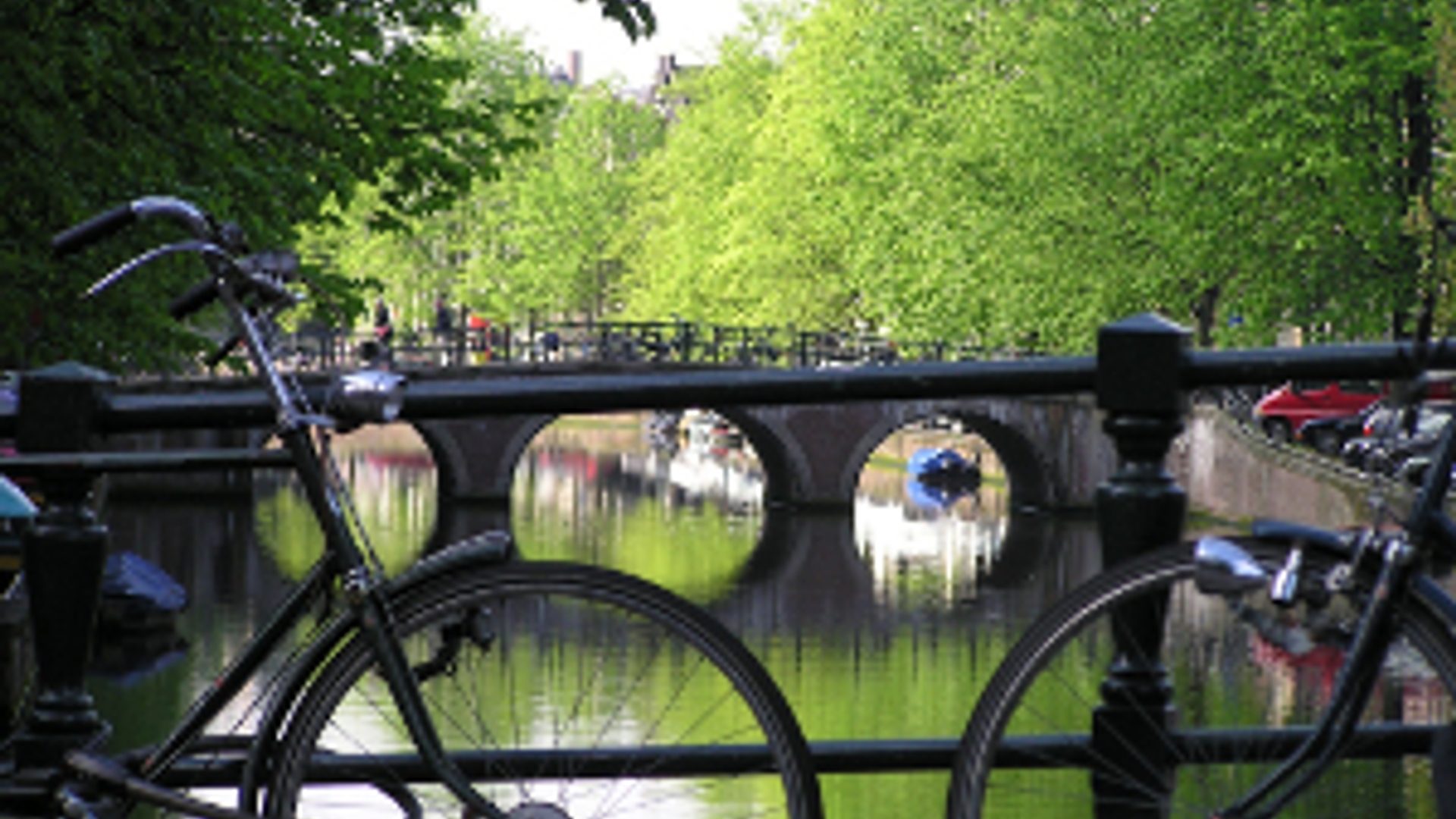 Flickr_Amsterdam_DutchAmsterdam_300.jpg