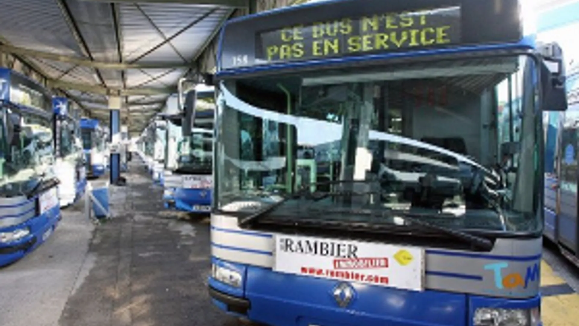 bus_300.jpeg