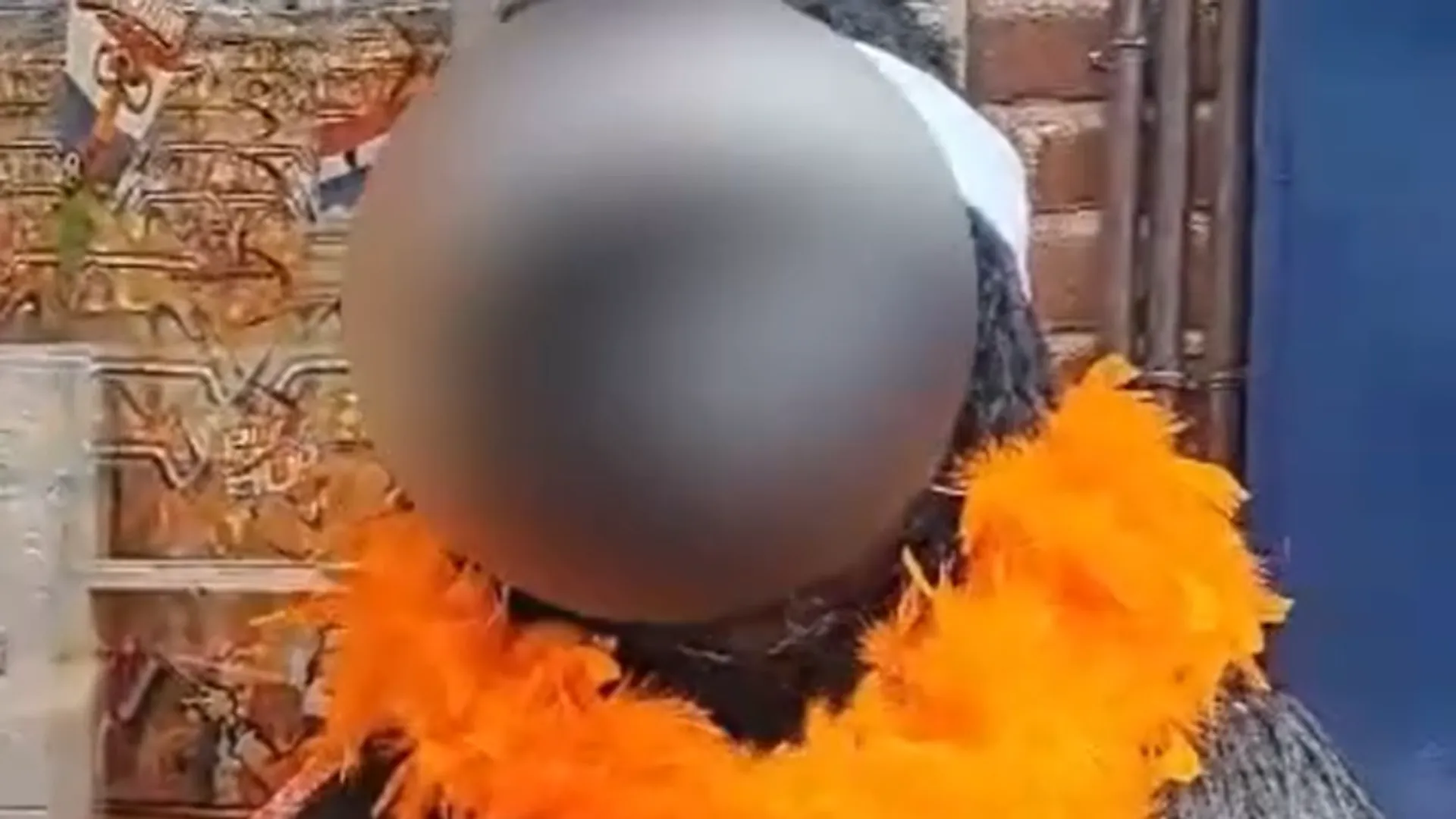 Afbeelding van Racistische ‘feestwinkel’ in Hoorn beeldt Memphis Depay af als gorilla