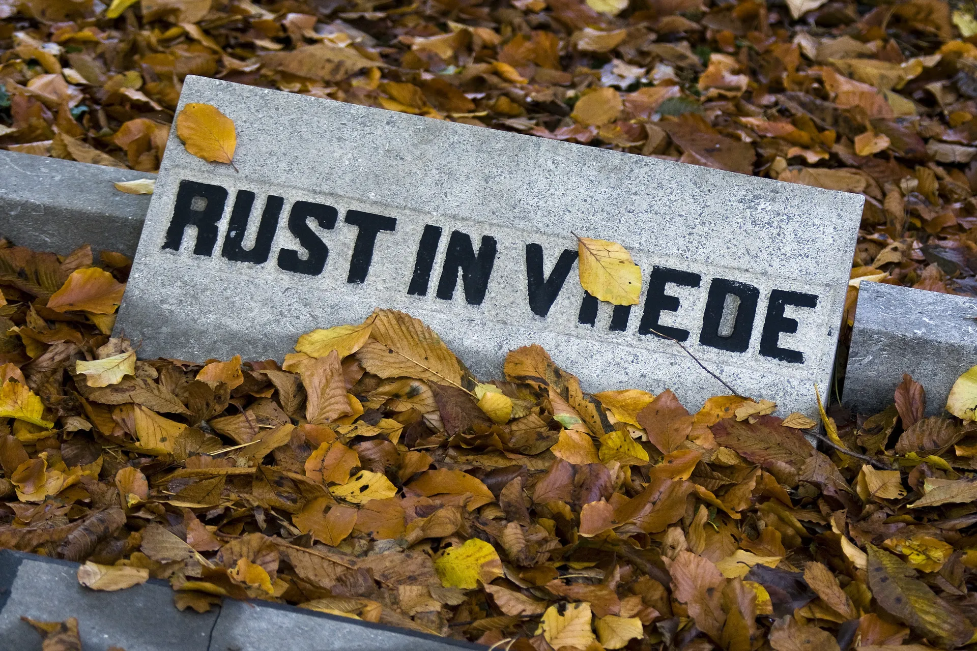 Afbeelding van Rouwkost