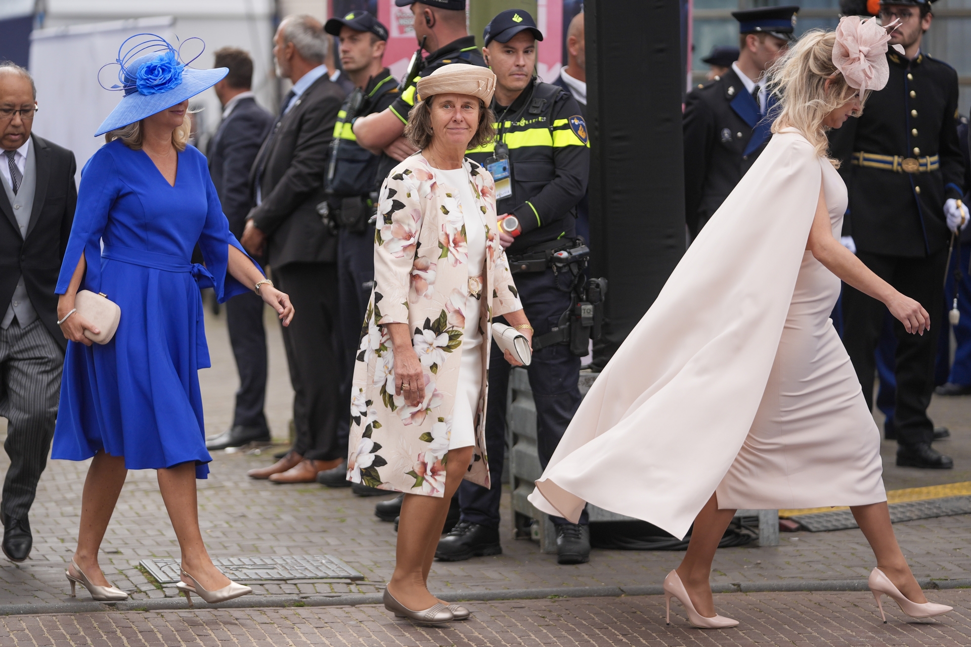 Afbeelding van Het kabinet van de onderbuik