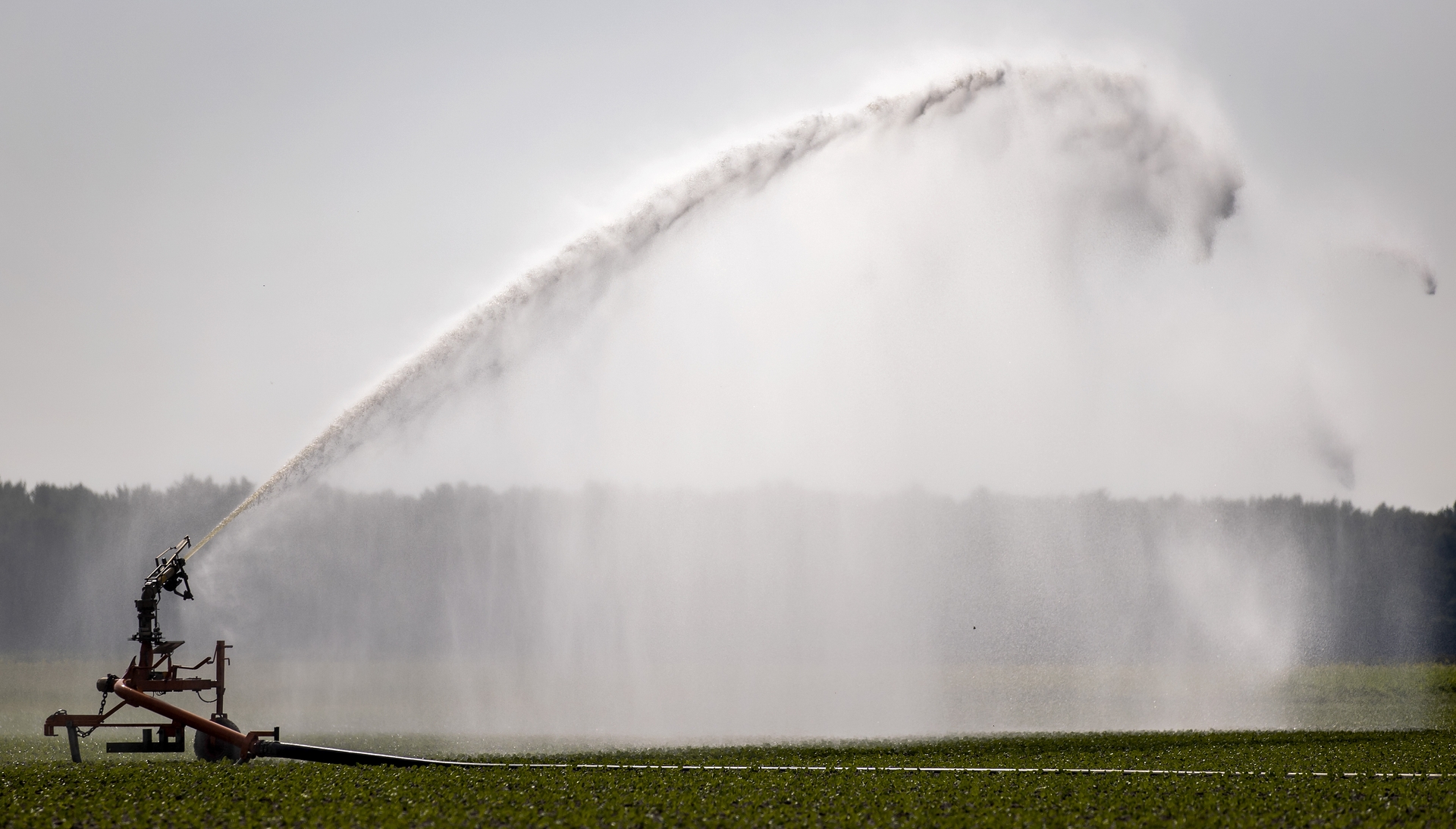 Afbeelding van Het grondwaterprobleem is vooral een boerenprobleem