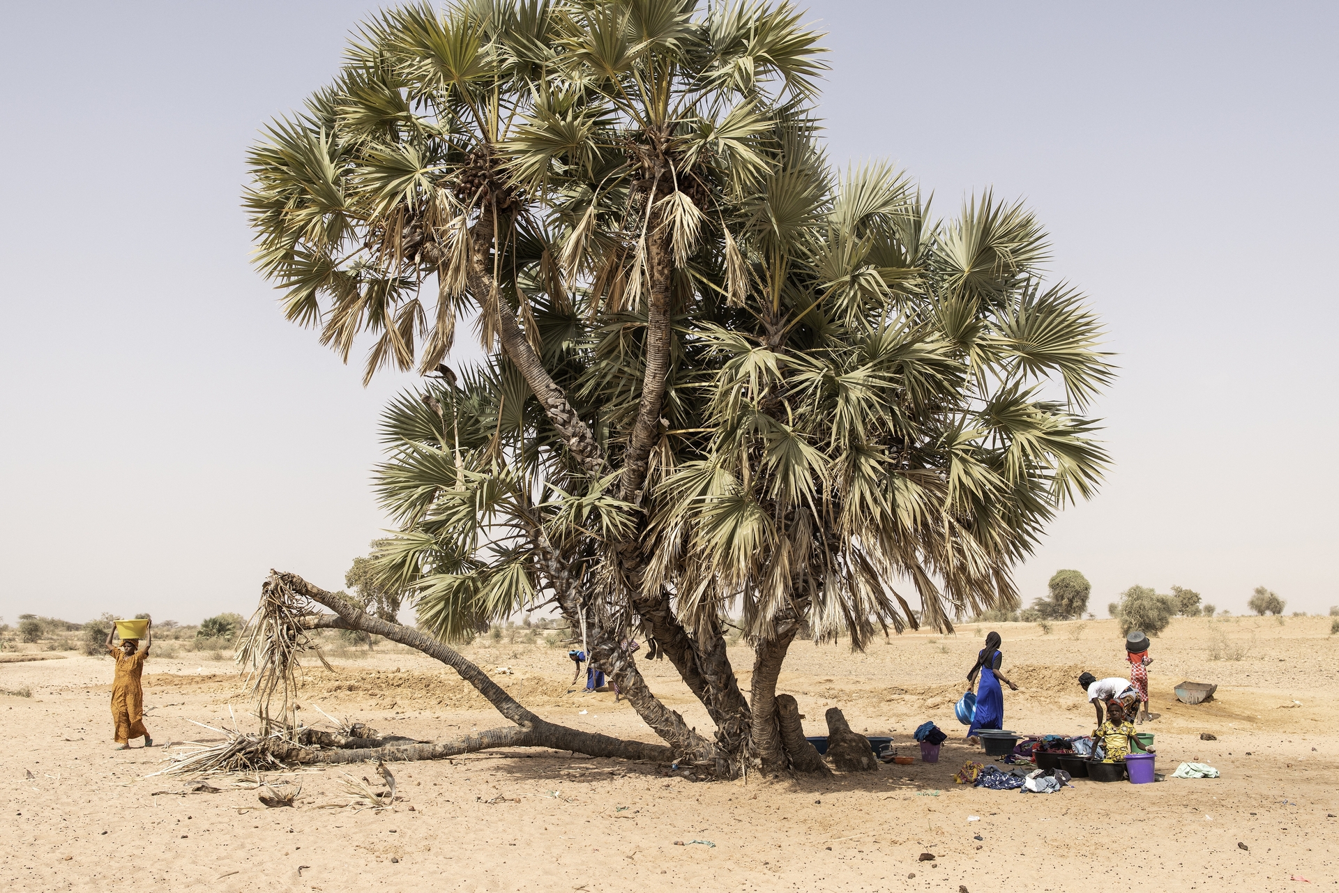 L’ondata di caldo mortale nell’Africa occidentale è “impossibile” senza una crisi climatica provocata dall’uomo – Job