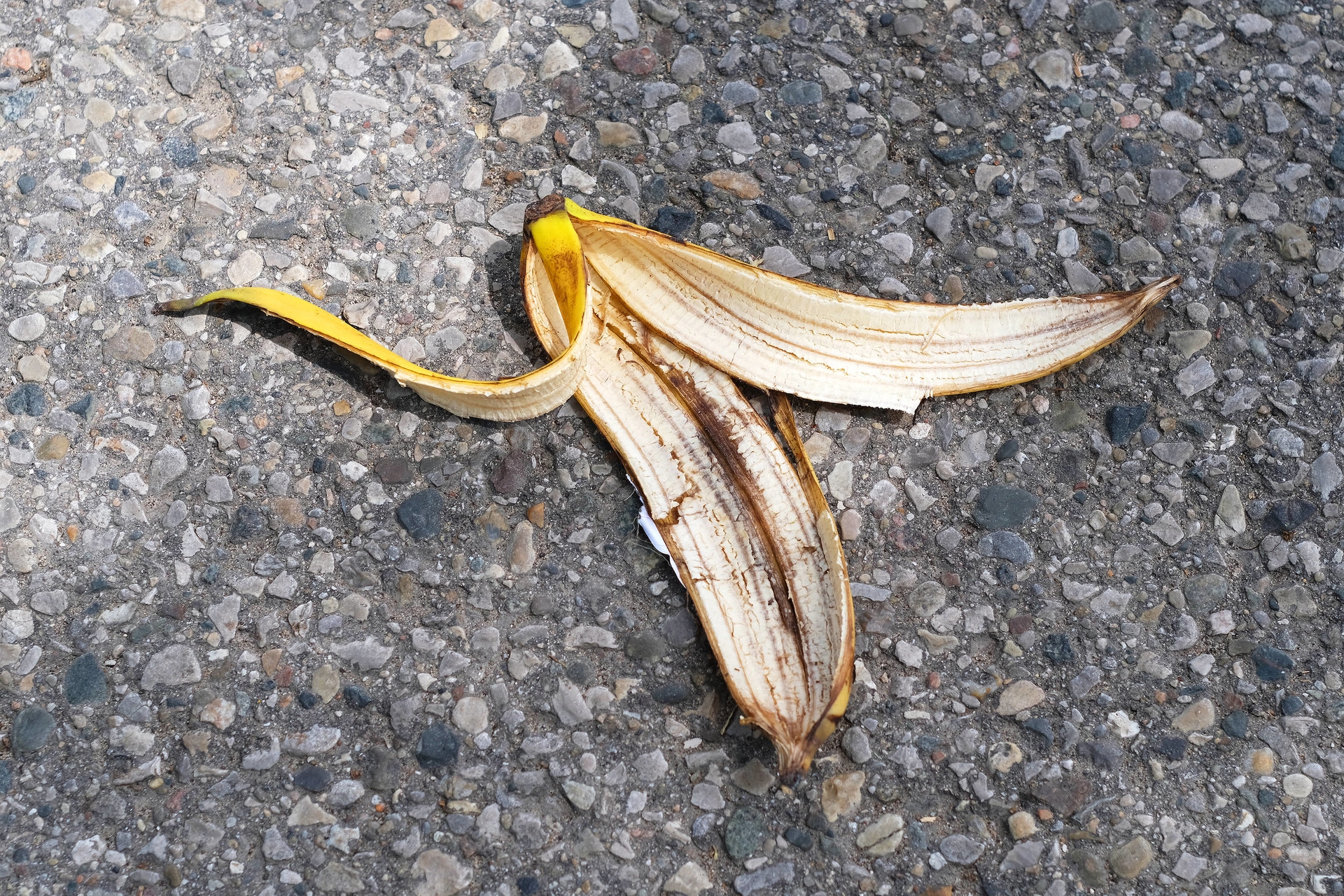 Afbeelding van Op internet vond ik een geheime tip over bananenschillen en lees wat er toen met me gebeurde…