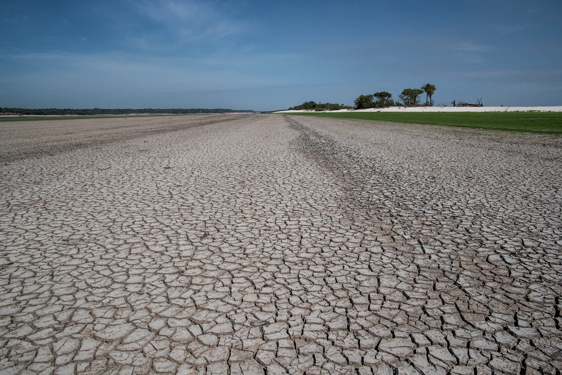 Afbeelding van Klimaatalarm: ons CO2-budget blijkt nog veel kleiner dan gedacht