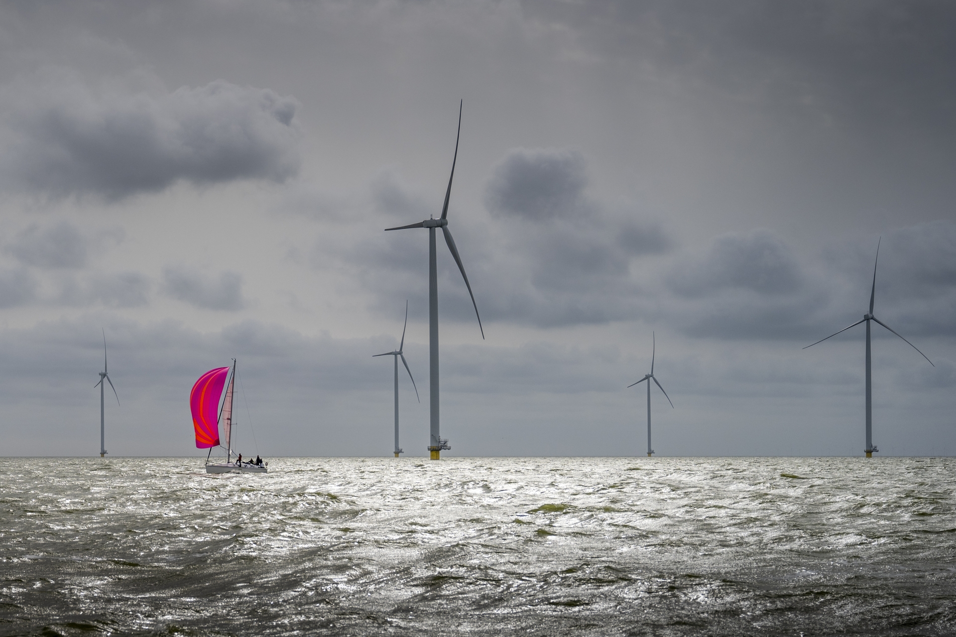 I mulini a vento potrebbero essere un vantaggio per la vita marina – Giobbe
