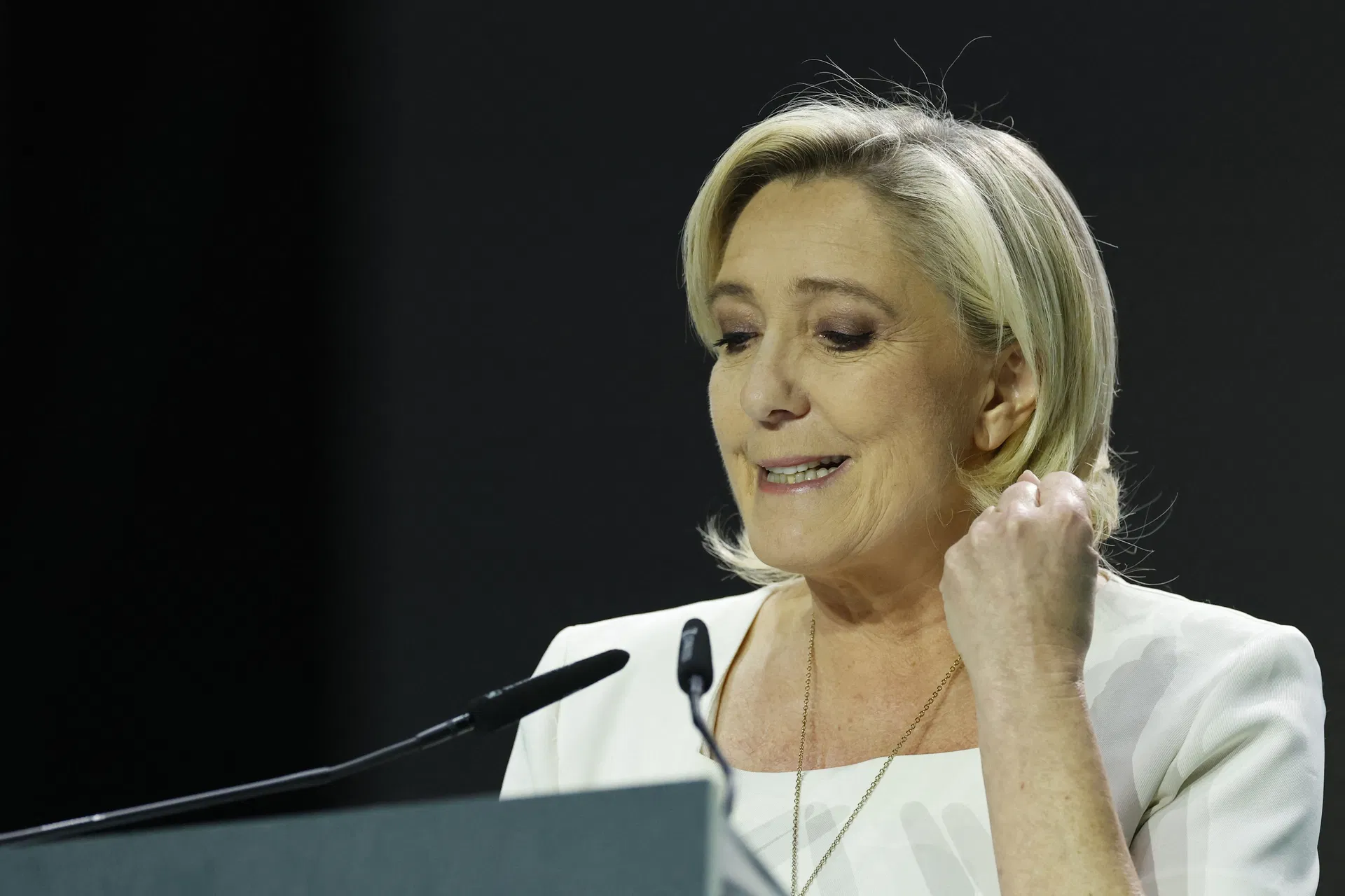 European allies Wilders walking in the street: Le Pen no longer wants to work with the AfD – Job