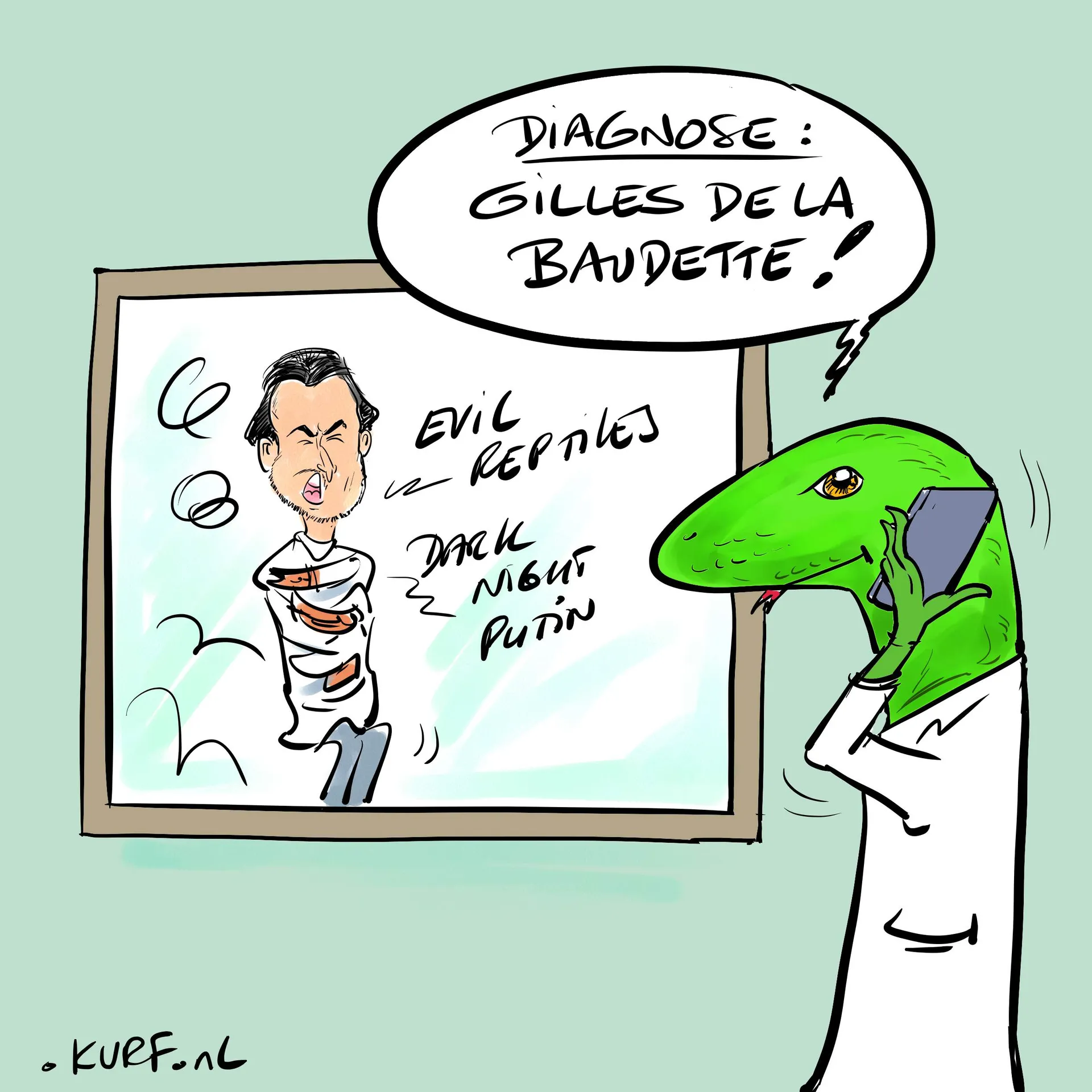 Afbeelding van De diagnose van Baudet