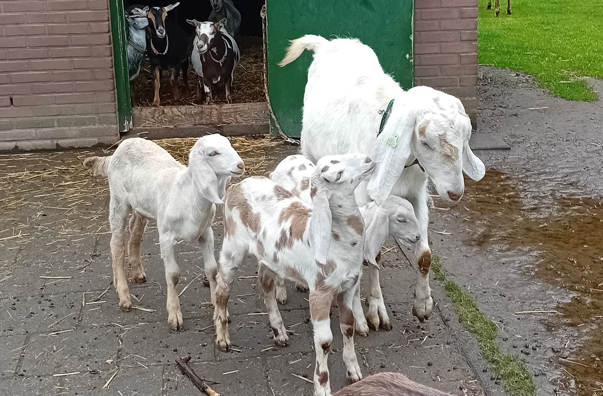 Afbeelding van De eeuwige zoektocht naar een passende plek met een Wajong