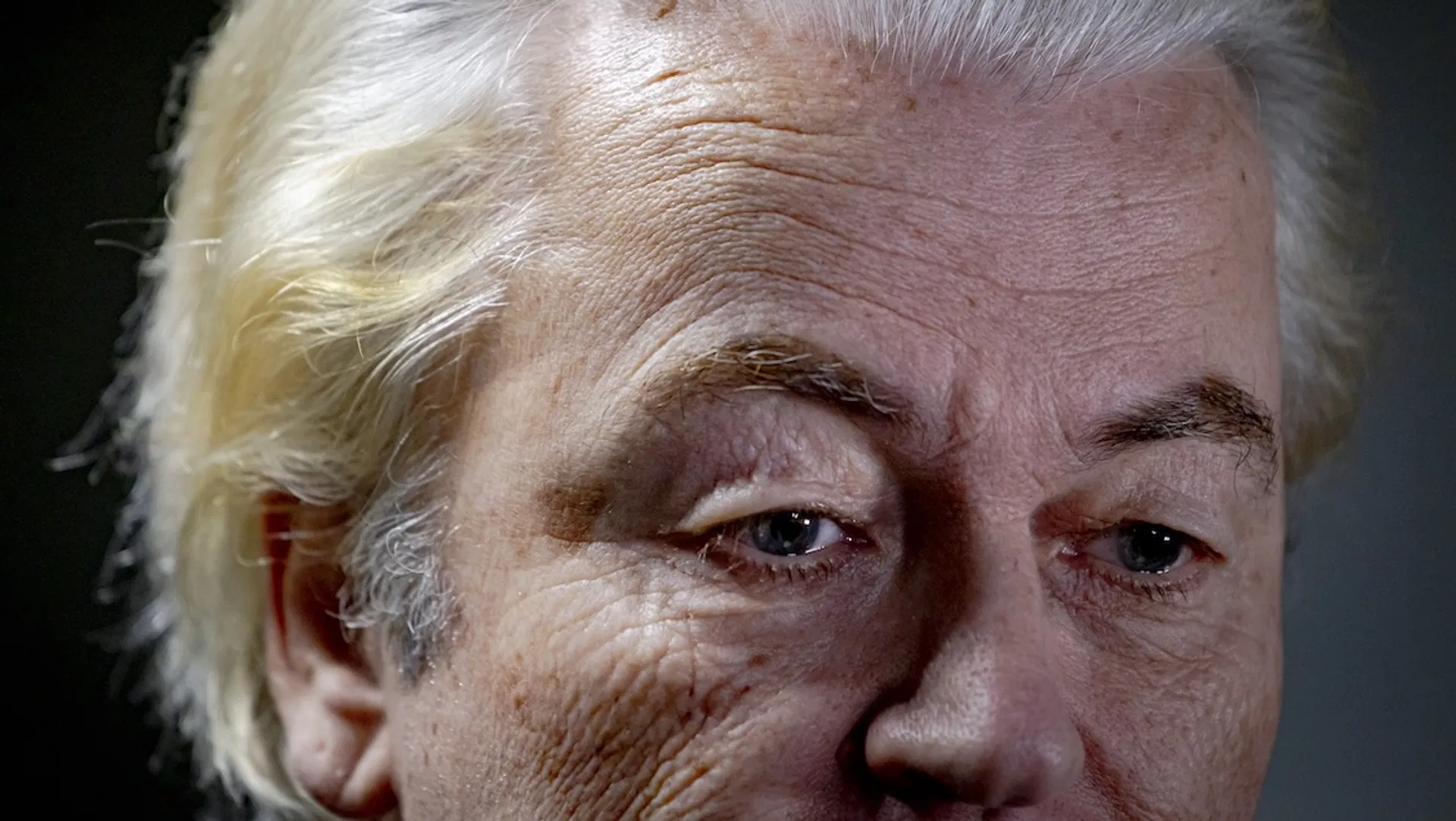 Afbeelding van Wat Wilders werkelijk wil is baas zijn van een dwangstaat