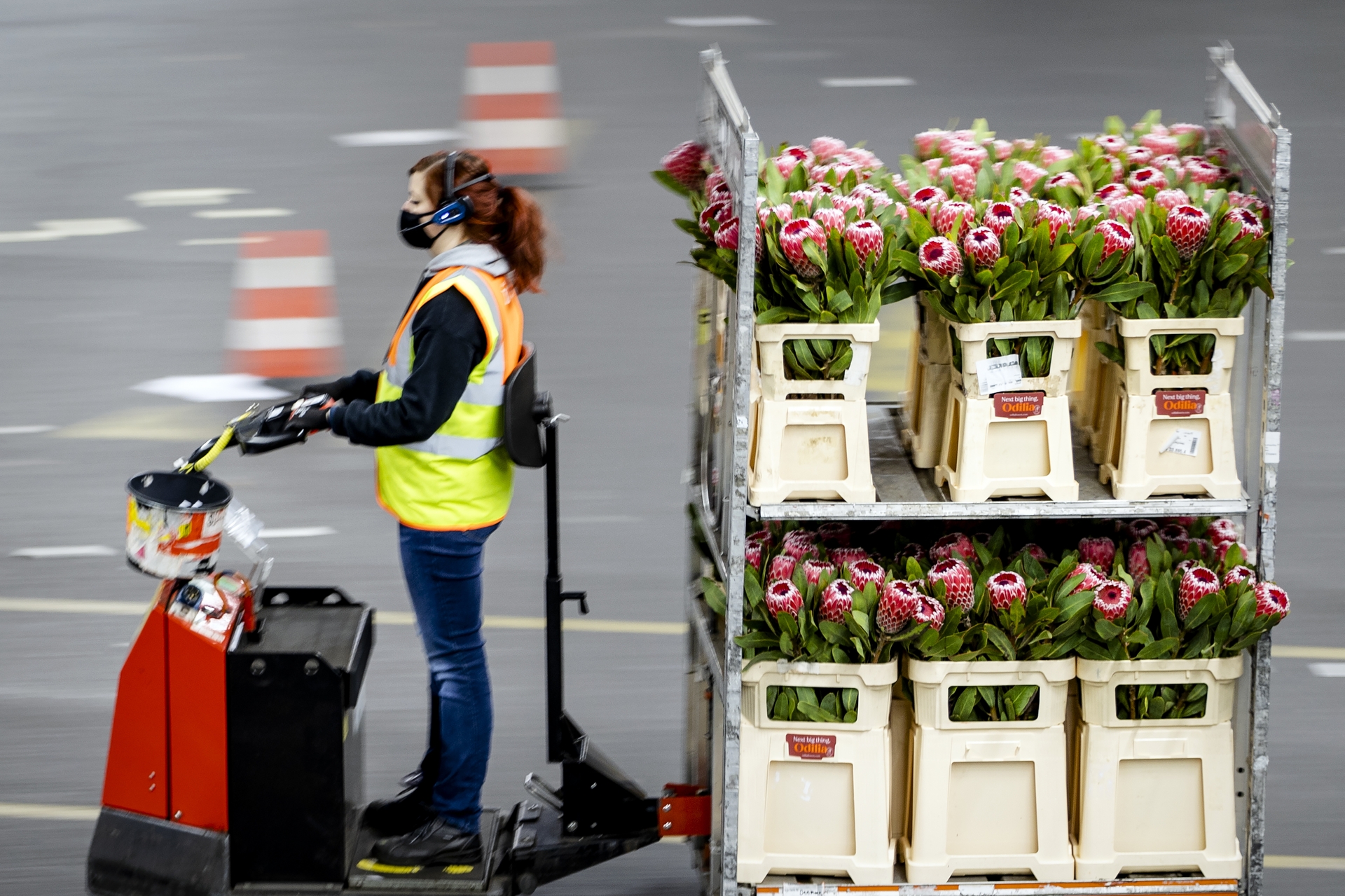 Afbeelding van SP en D66: Zet rente studieleningen op 0 procent, betaal het met bloemen