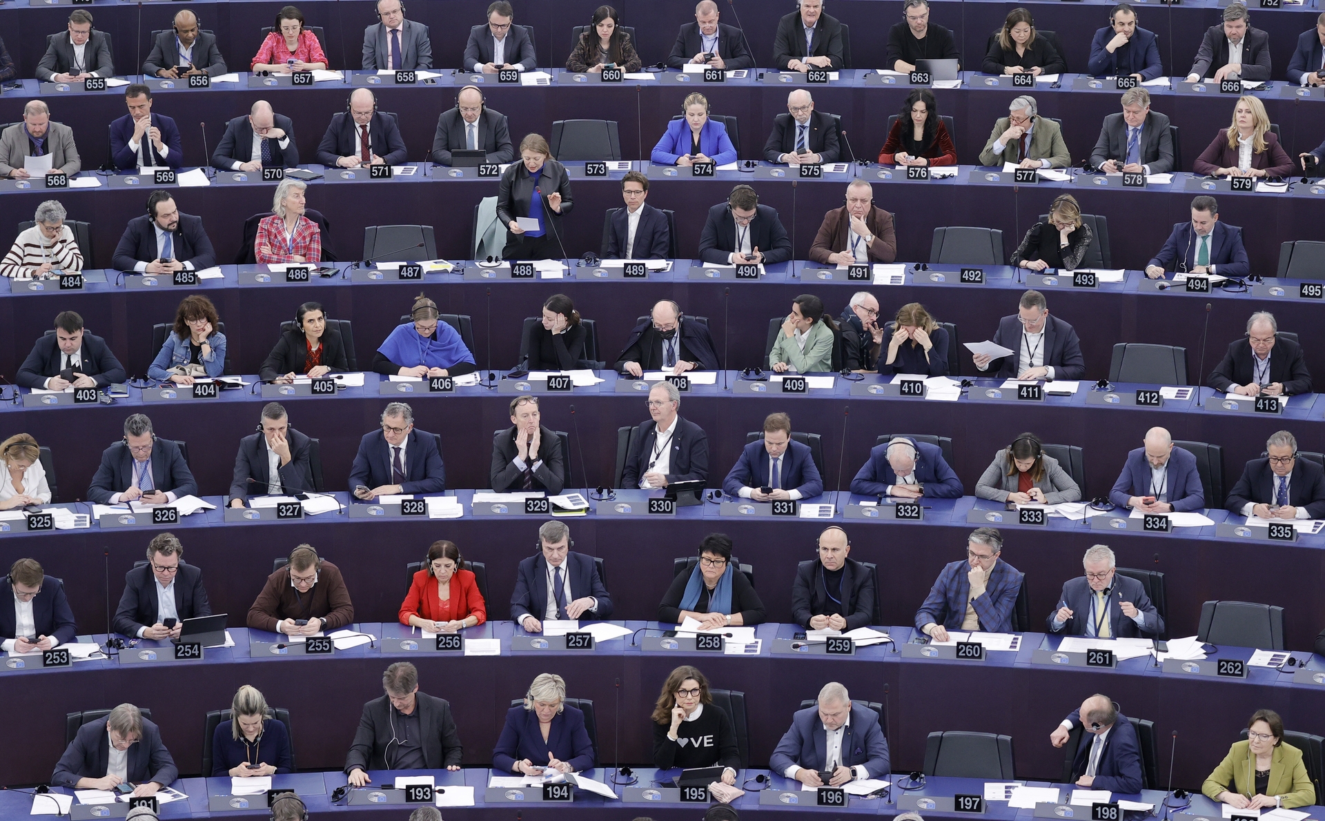Afbeelding van Natuurherstelwet van Frans Timmermans haalt de eindstreep: Europees Parlement stemt in