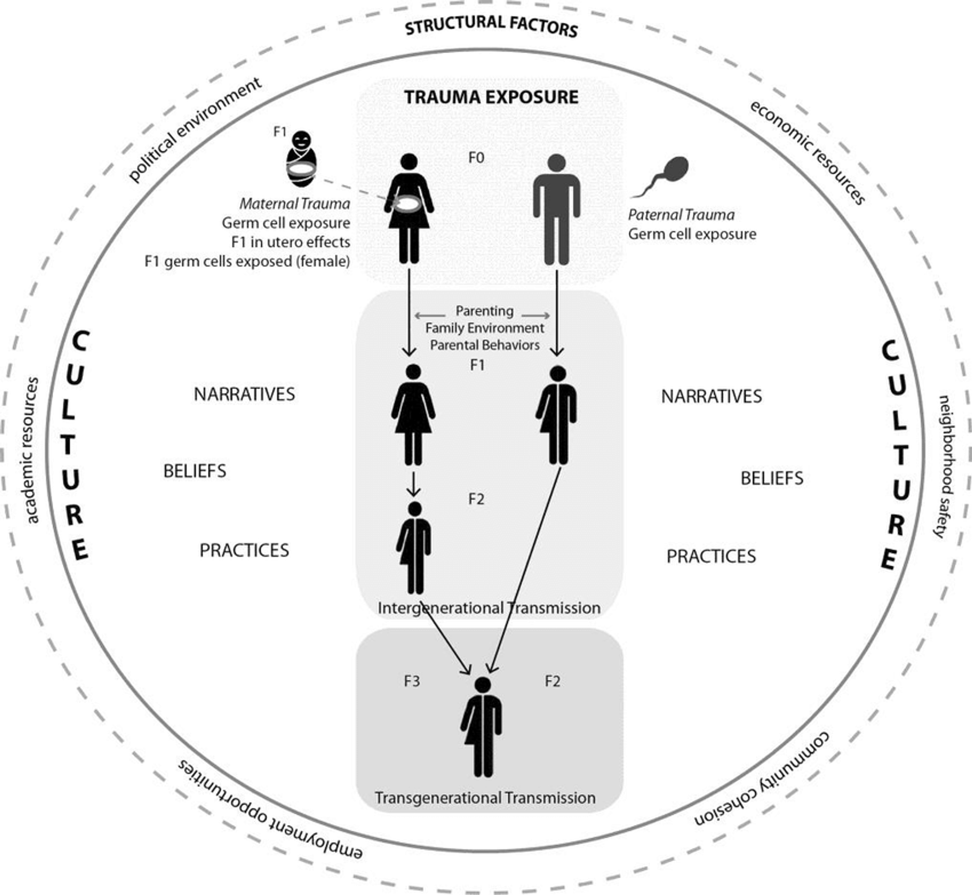Intergenerational-transmission-of-biological-effects-of-trauma.ppm
