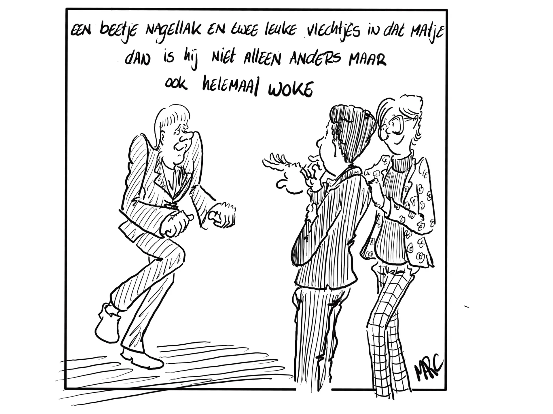 Afbeelding van De perfecte songfestival inzending
