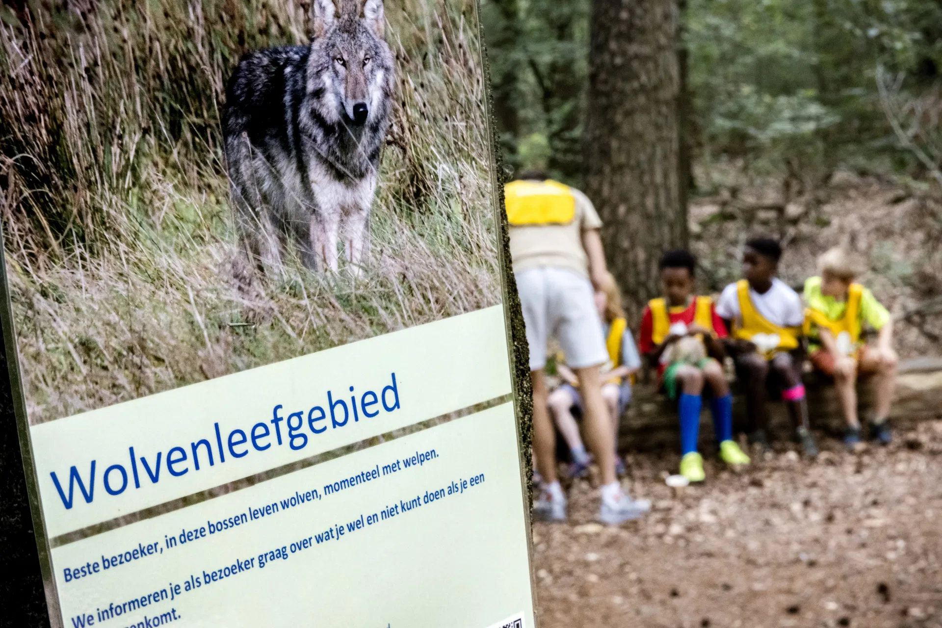 Afbeelding van Wolf, eeuwenoude zondebok, personificatie van het kwaad