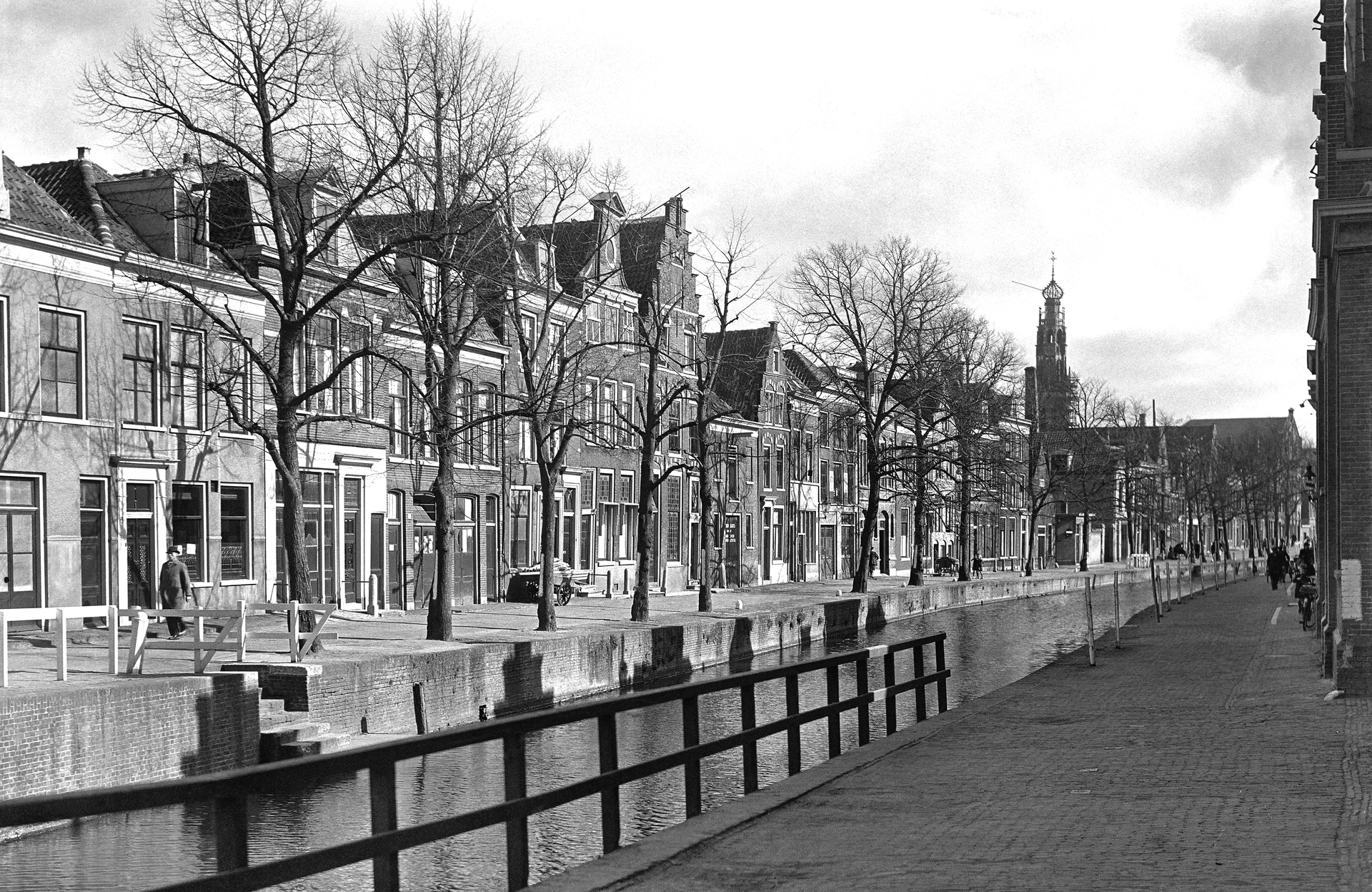Afbeelding van Haarlems addergebroed