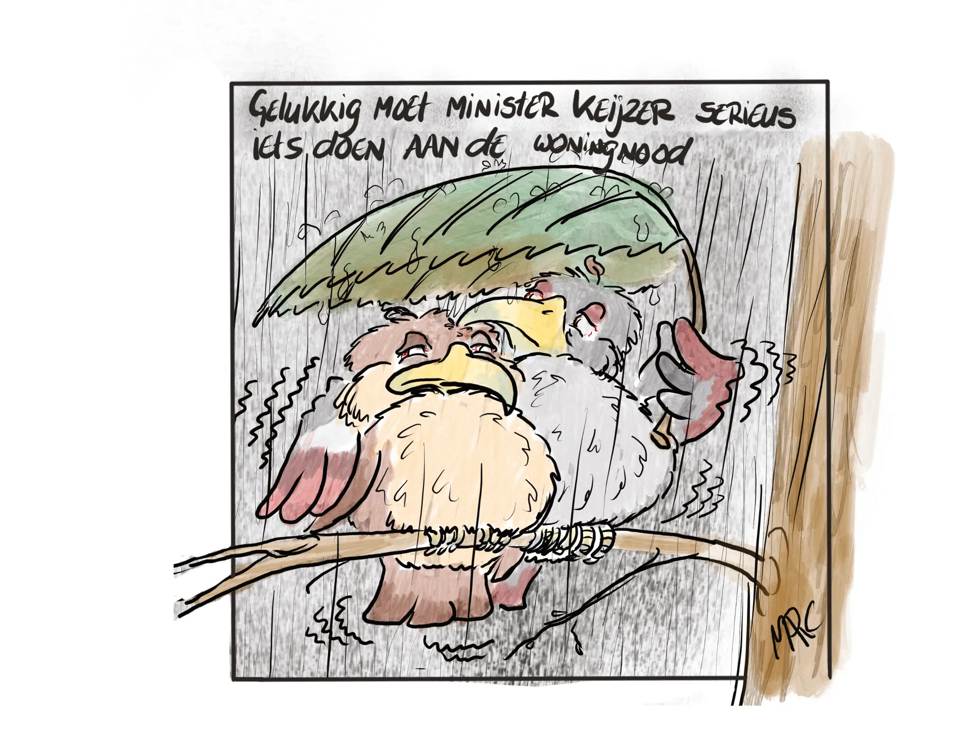 Afbeelding van Mona Keijzer werkt zich in de nesten, Kamer blokkeert afschaffen vogelvriendelijk bouwen
