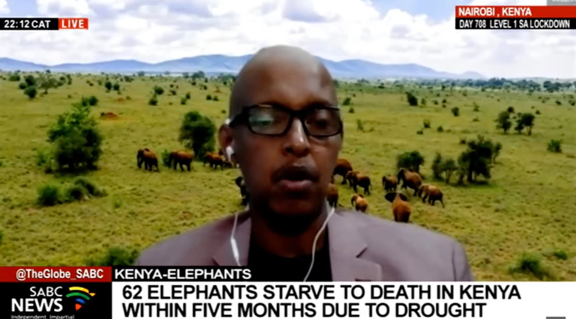 Afbeelding van Tientallen wilde olifanten komen om als gevolg van aanhoudende droogte