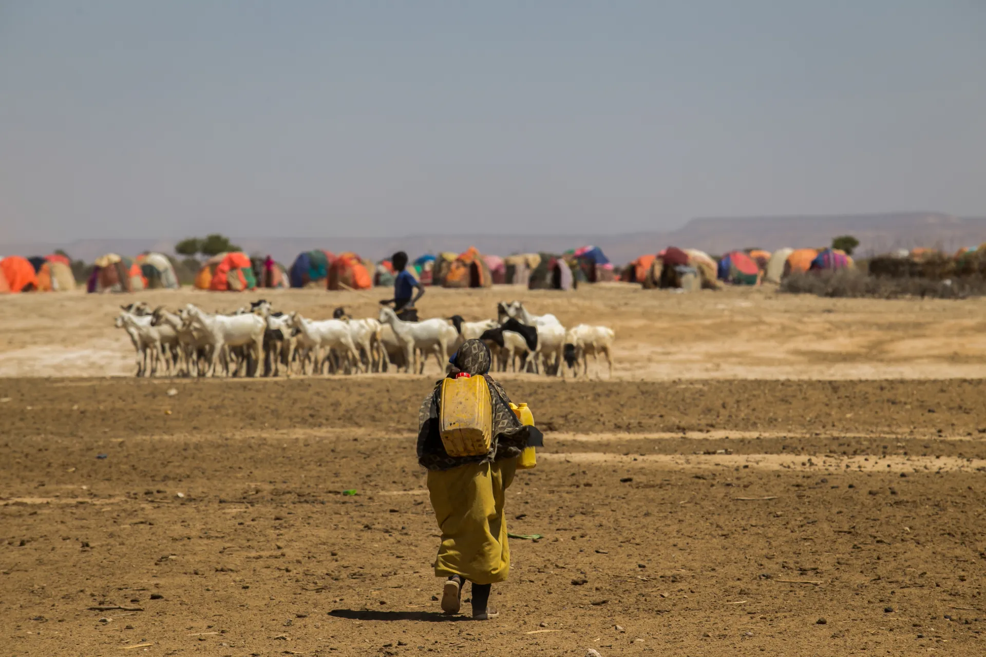 Afbeelding van Kabinet maakt 6 miljoen euro extra vrij voor noodhulp Somalië en Zuid-Sudan