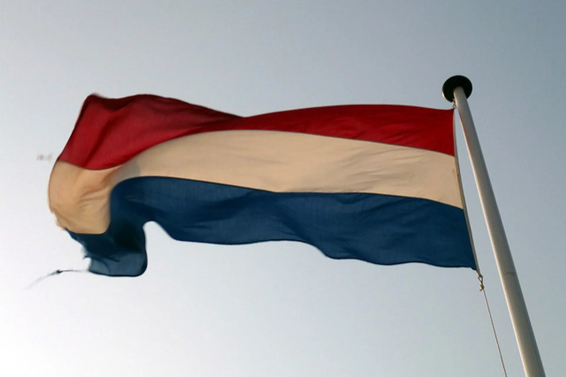 Afbeelding van We zingen het Wilhelmus maar leren niet over ons eigen verleden