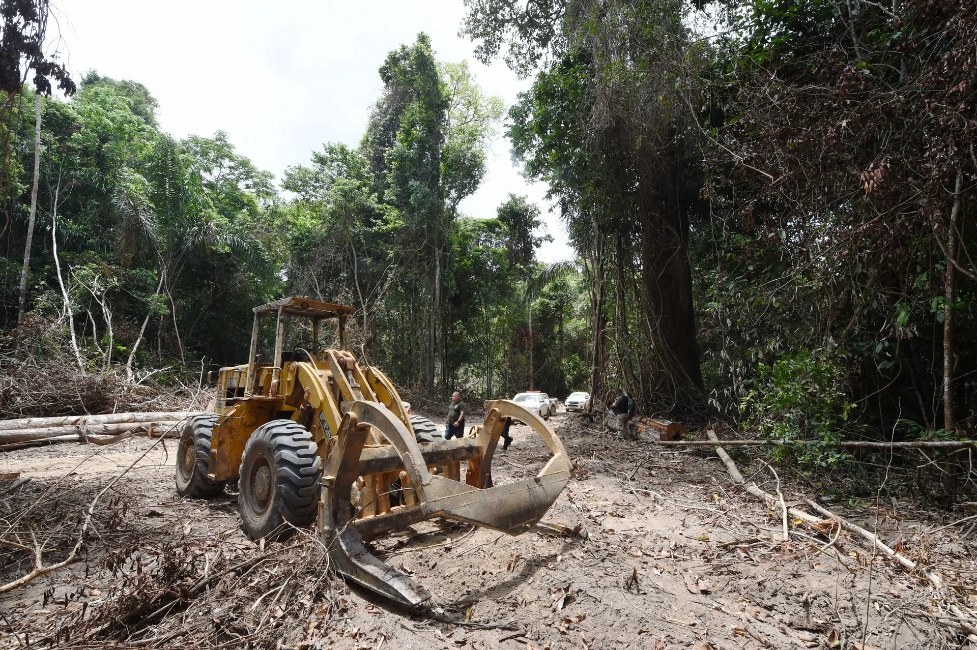 Afbeelding van Ontbossing in Amazone breekt record