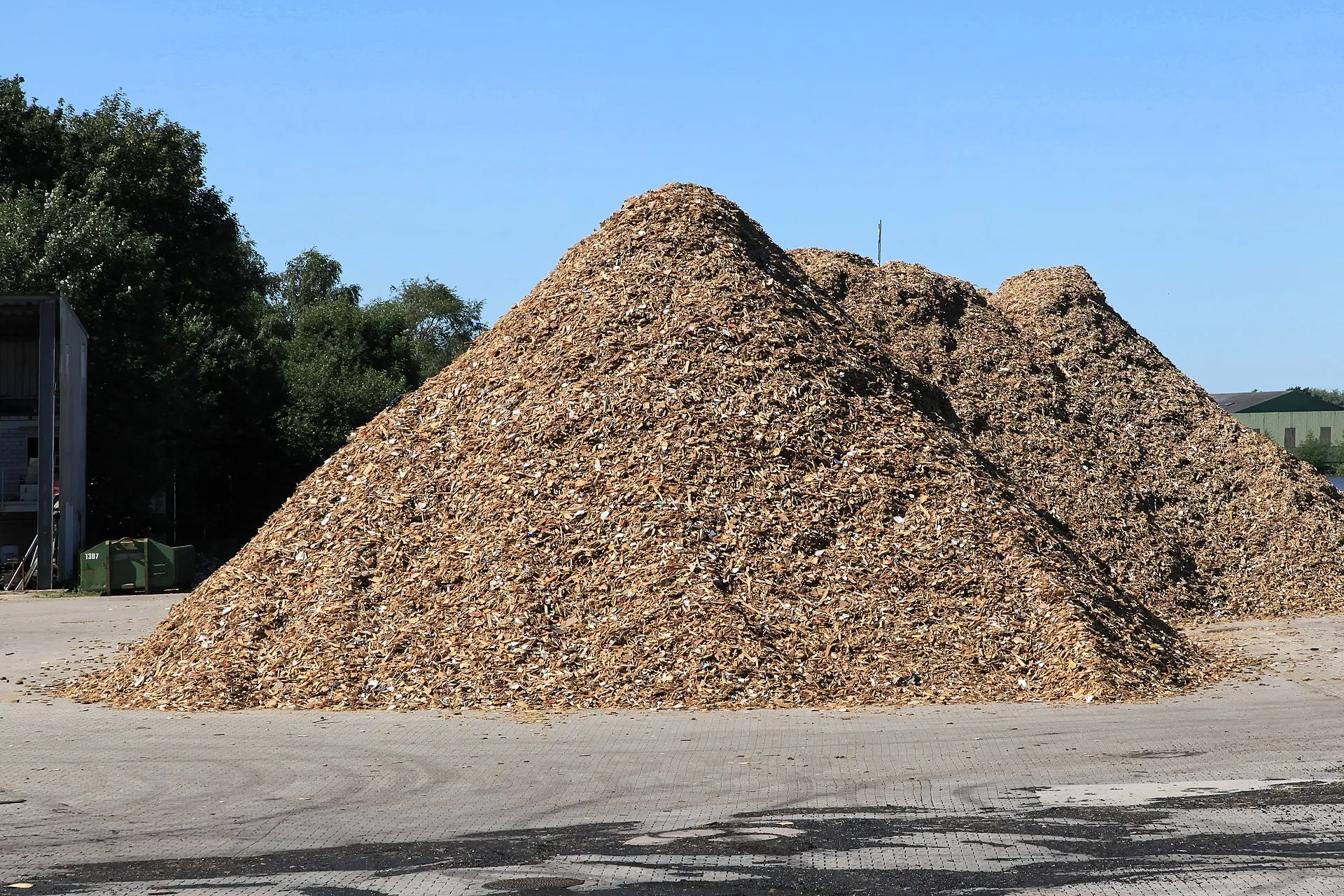 Afbeelding van Debacle Amsterdamse biomassacentrale exemplarisch voor haperend Europees Klimaatbeleid
