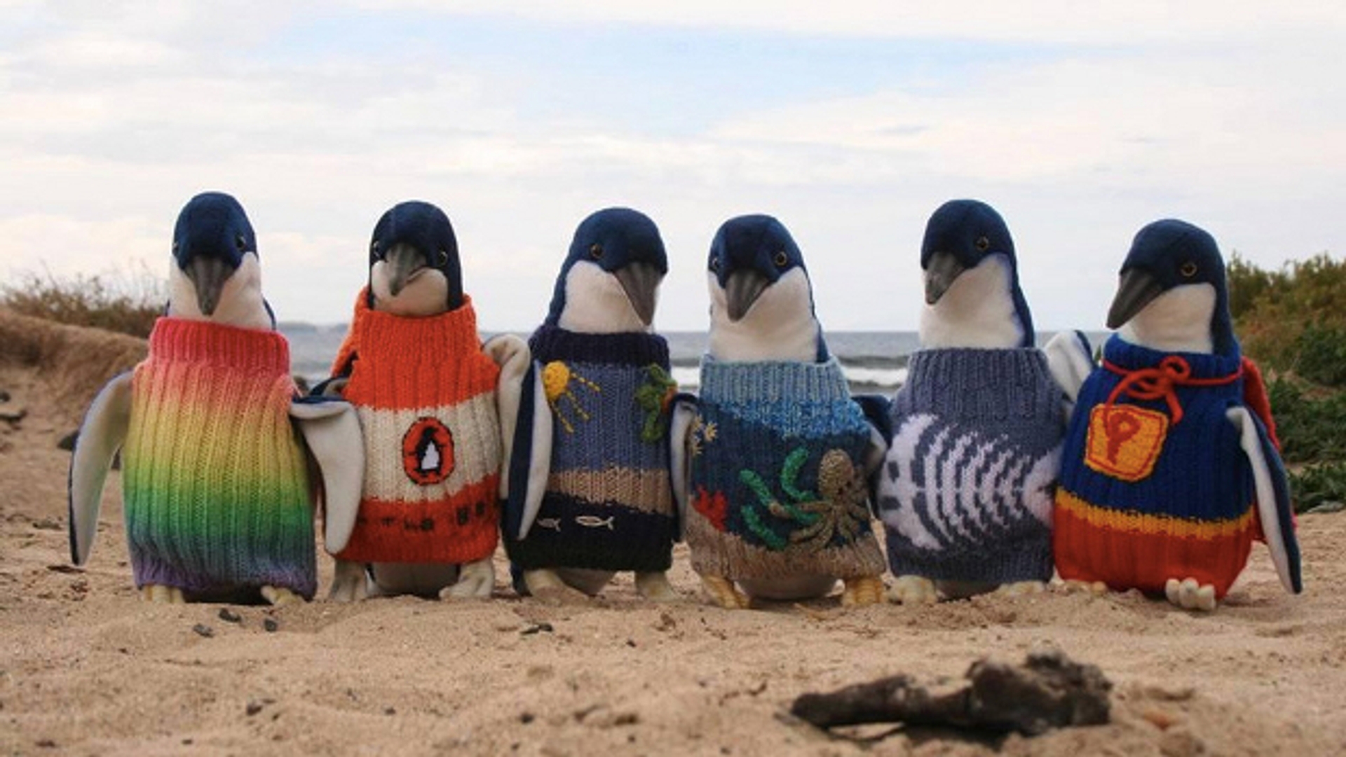 pinguins_620
