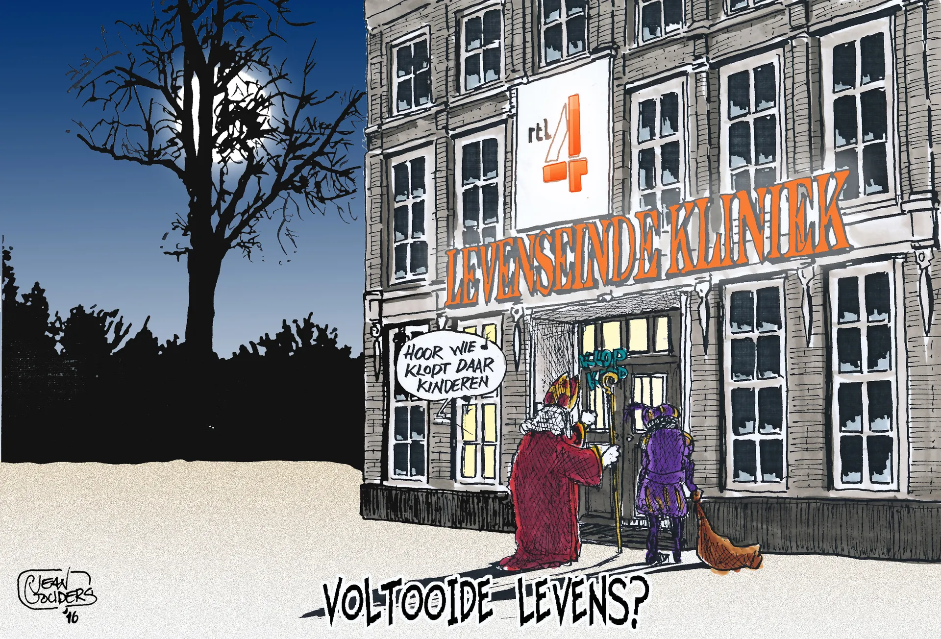 Afbeelding van Voltooide levens