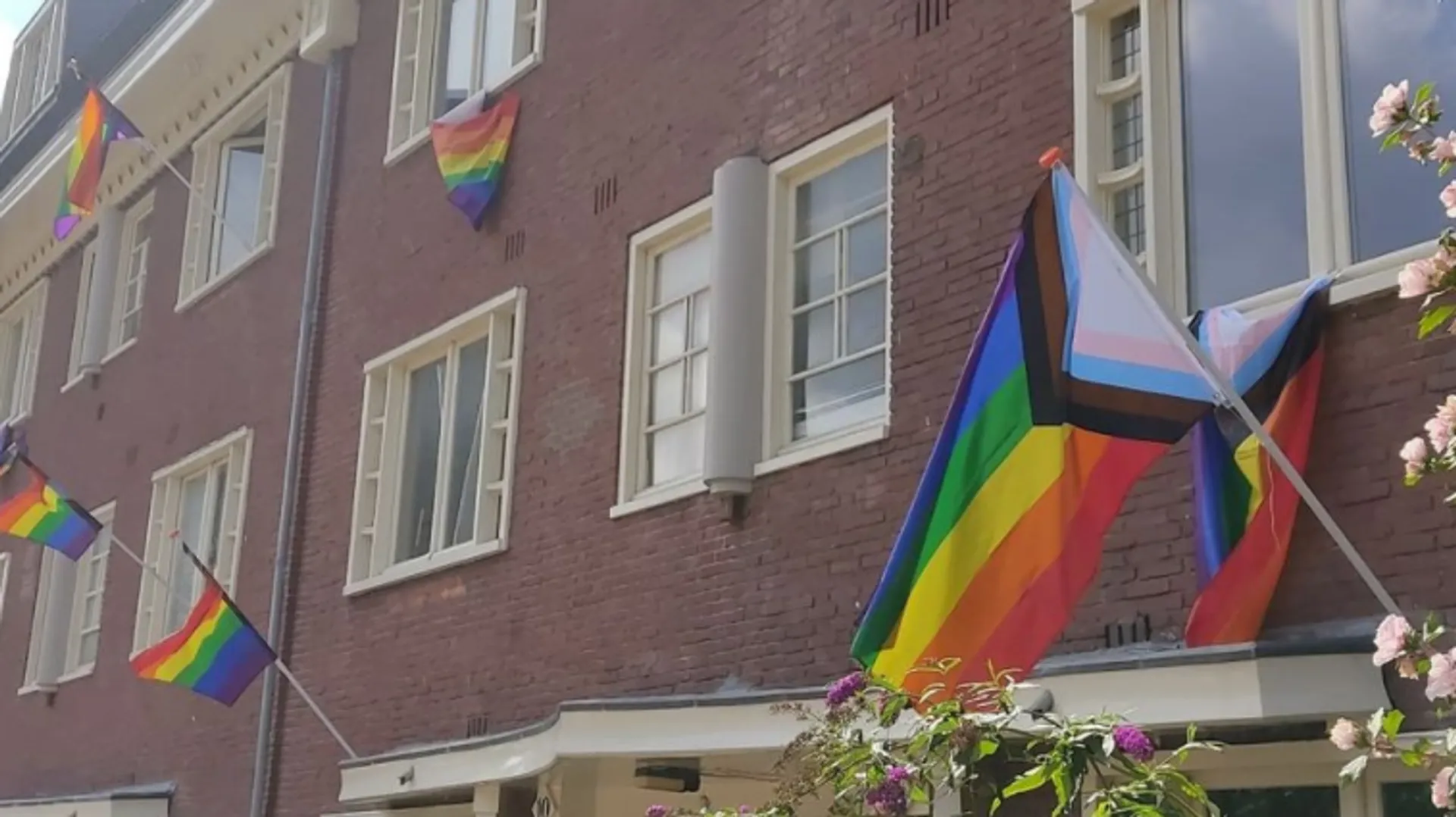 Afbeelding van Straat vol regenboogvlaggen na anti-LHBTI-brandstichting