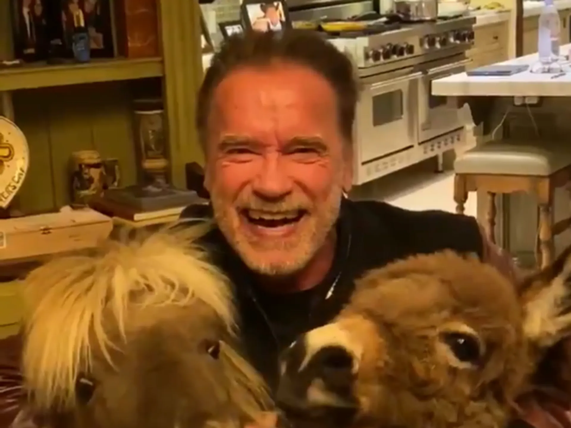 Afbeelding van Arnold Schwarzenegger laat zien hoe je het thuis gezellig maakt