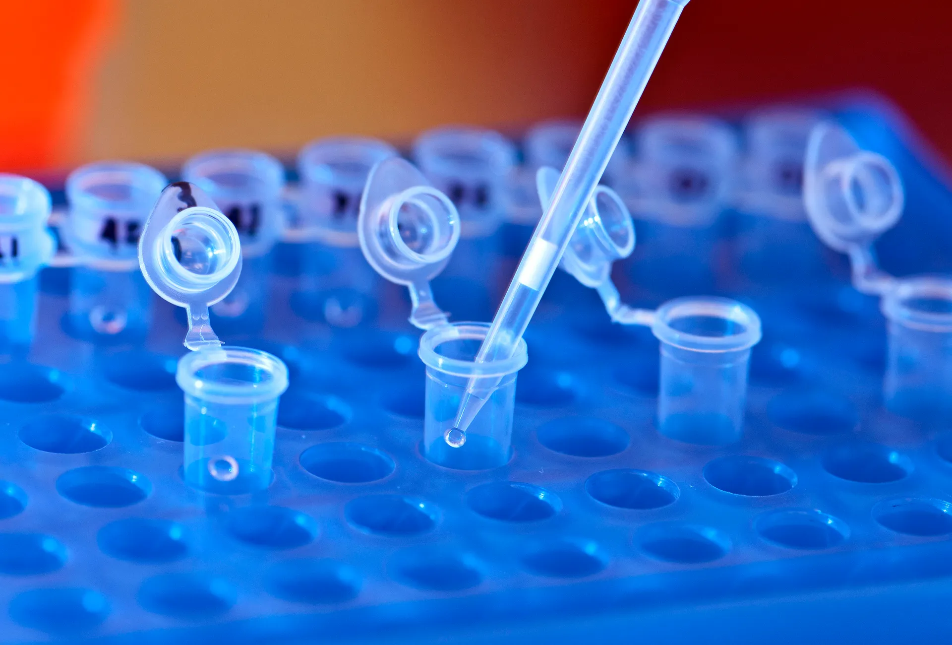 Afbeelding van Bedenkingen bij het grootschalige DNA-onderzoek in de zaak Nicky Verstappen