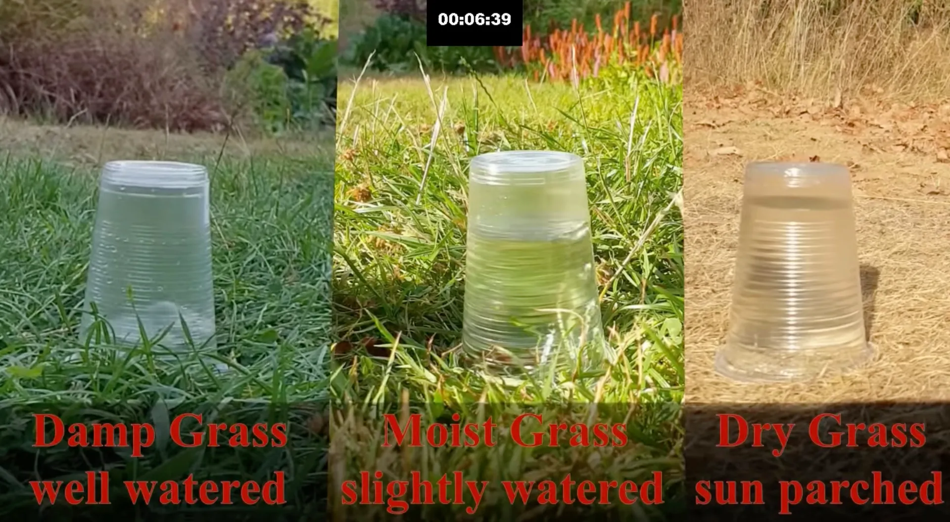 Afbeelding van Meteoroloog demonstreert waarom zware regenval na droogte uitloopt op een ramp