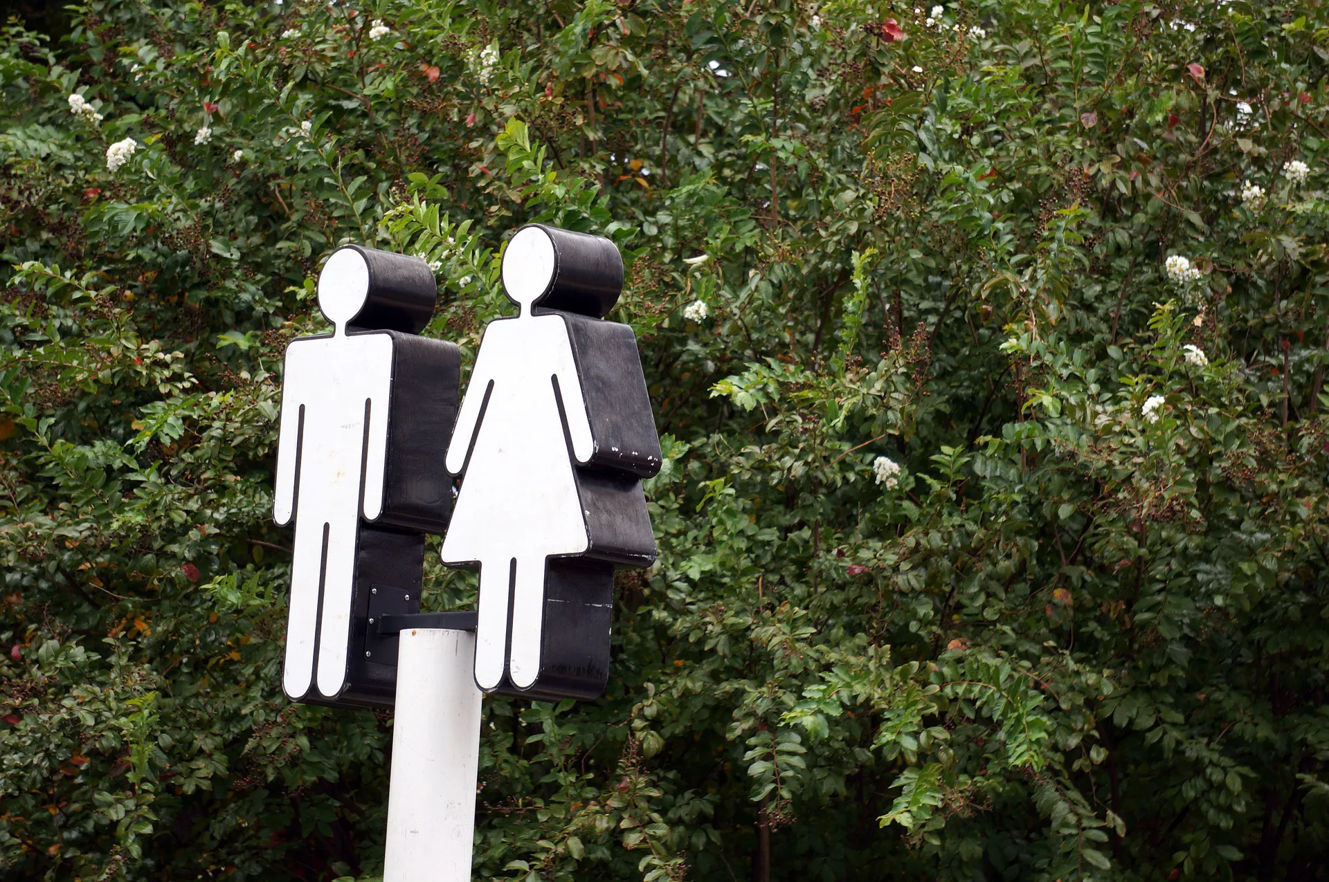 Afbeelding van Onderzoekers: genderneutrale taal zorgt voor meer tolerantie