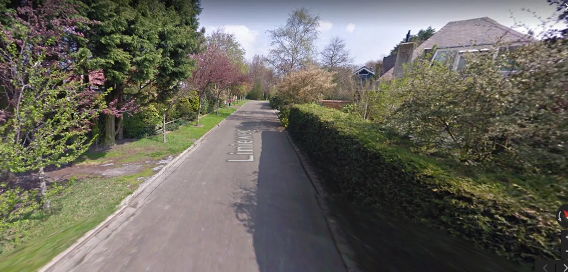 Afbeelding van De domme paniek van de goudkust in Den Helder